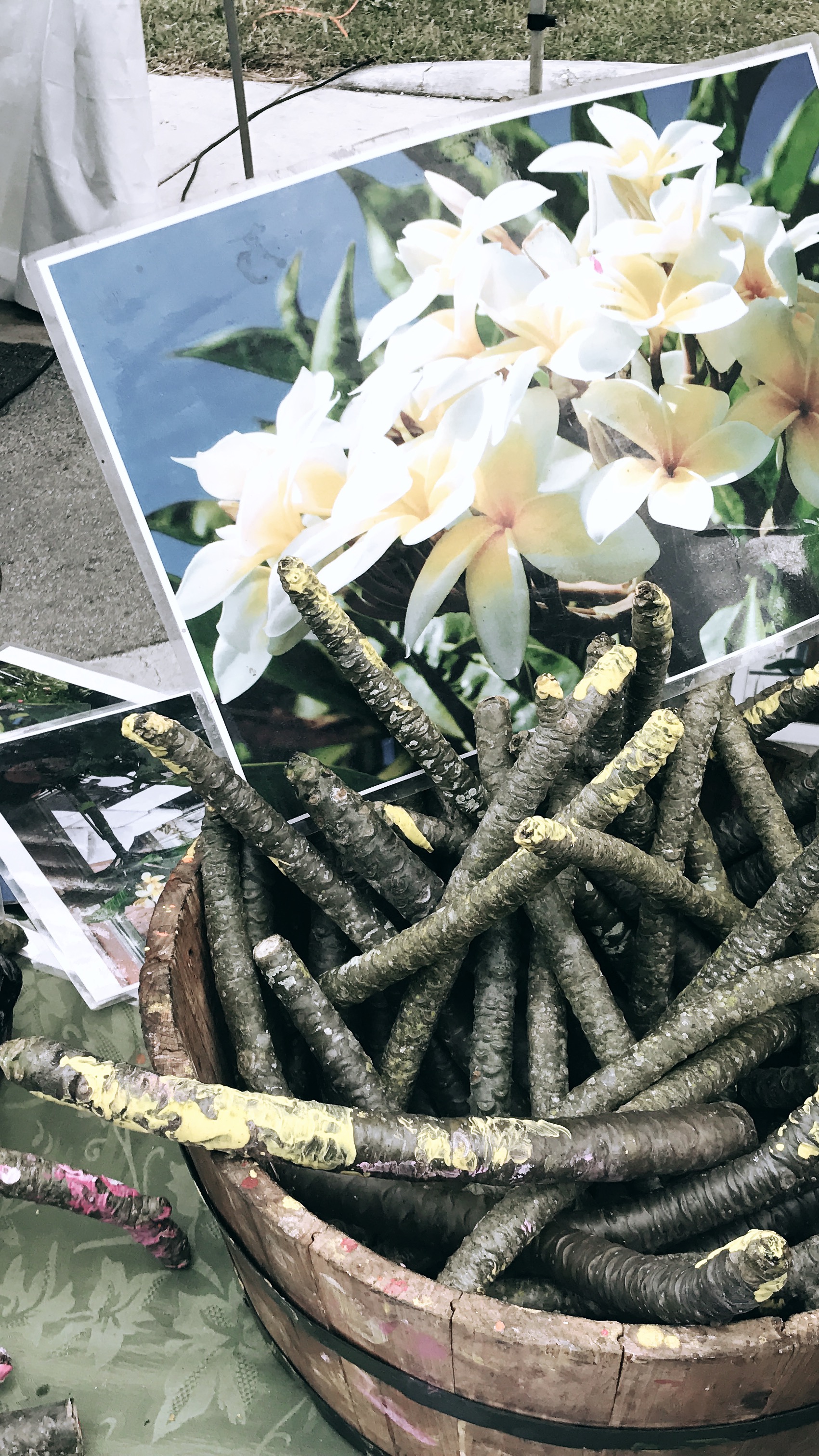 The Art of Expression: A Dive into Flower Symbolism