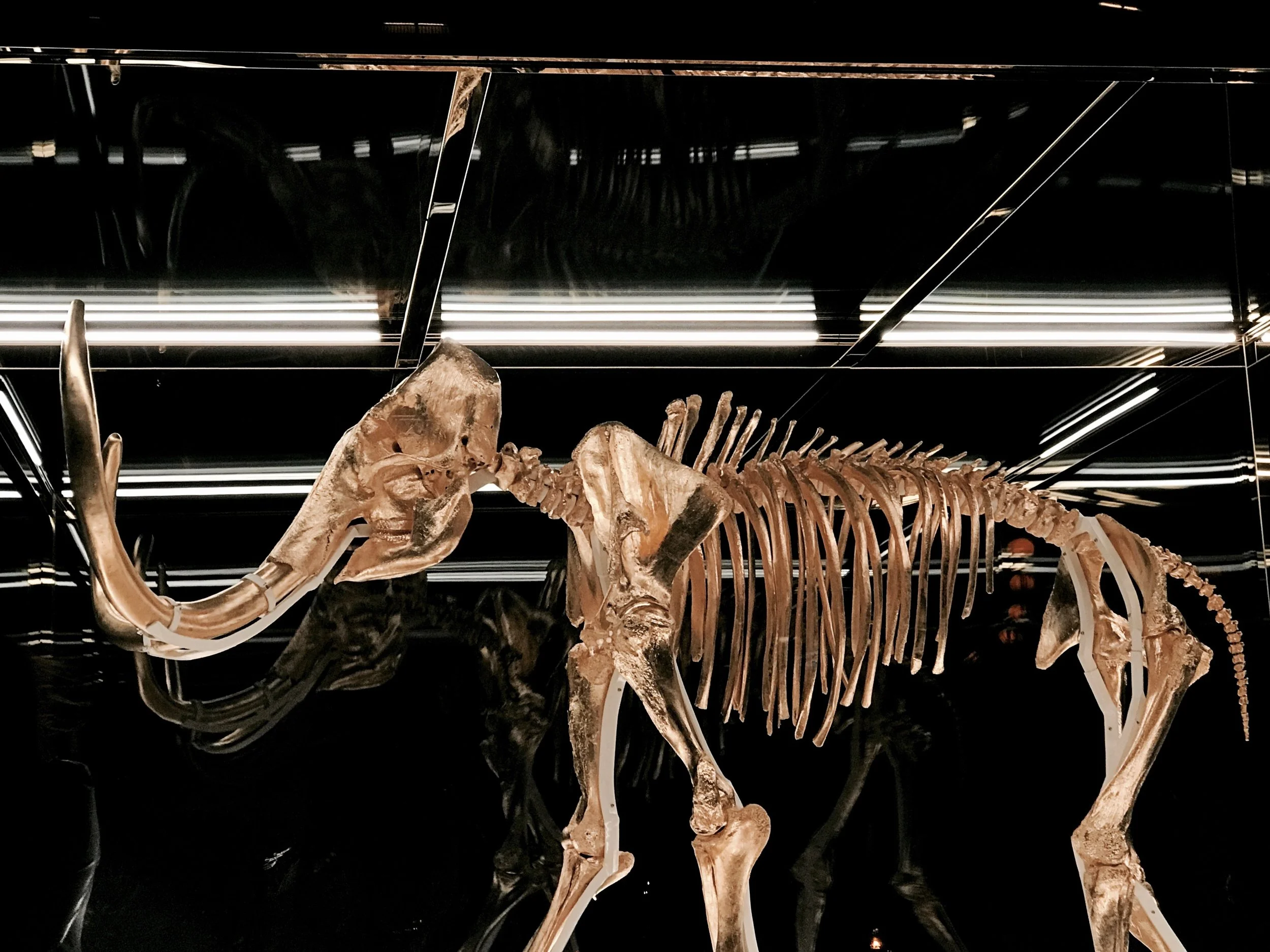 "Gone but not forgotten" at the Faena Hotel by Damien Hirst | Photo by Nadia Bouzid