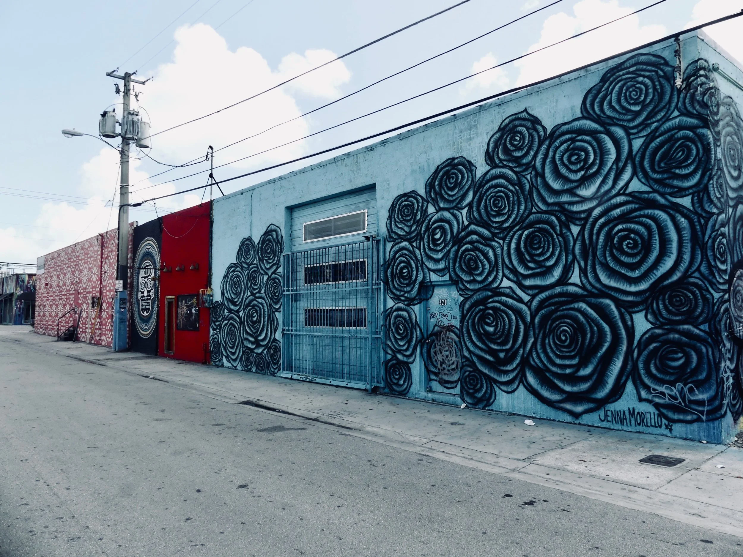 Wynwood houses for sale.jpg