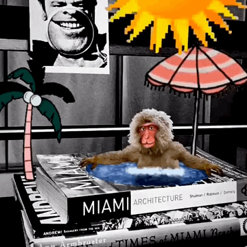 Explore Miami Neighborhoods