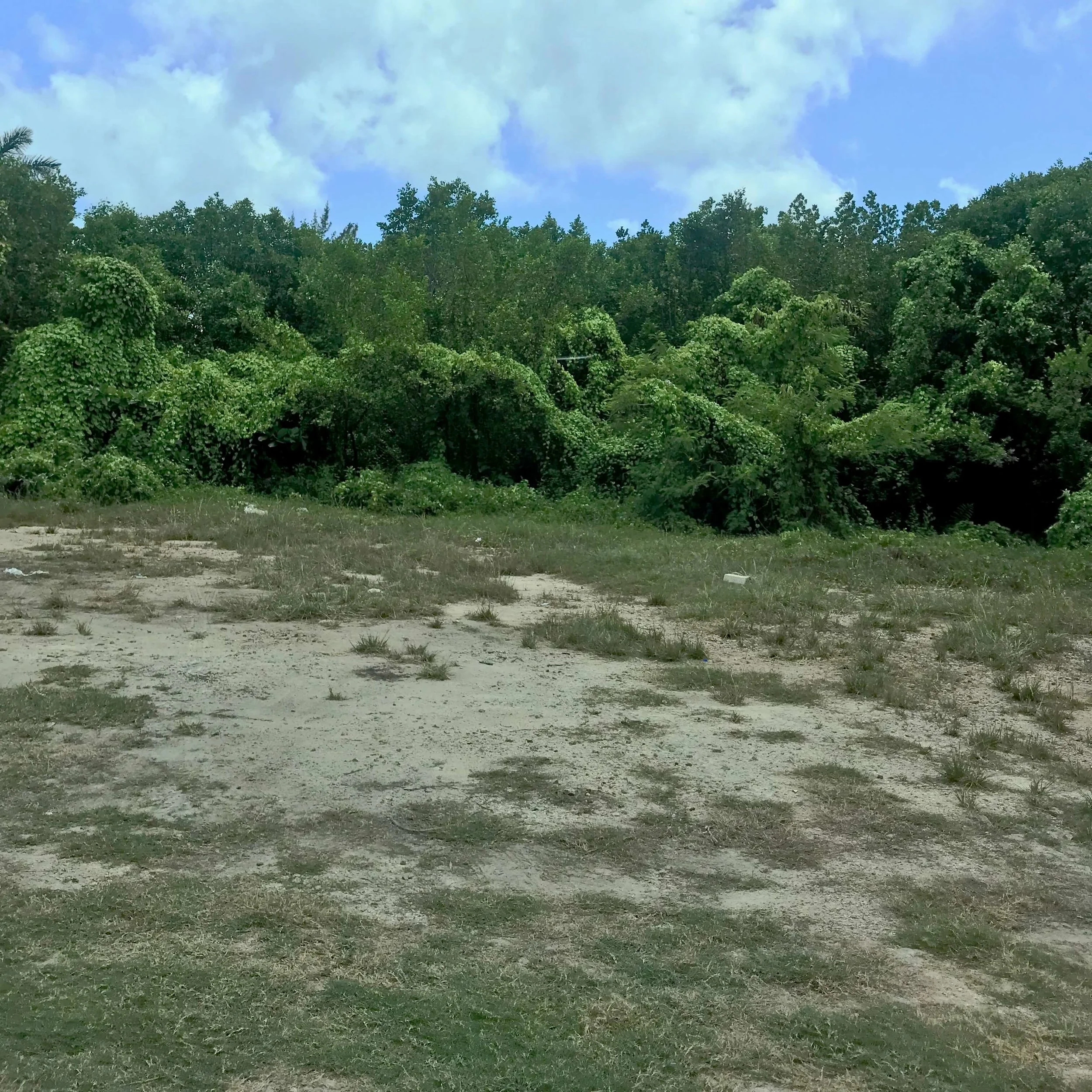 Terrenos a la venta en Puerto Morelos, Quintana Roo