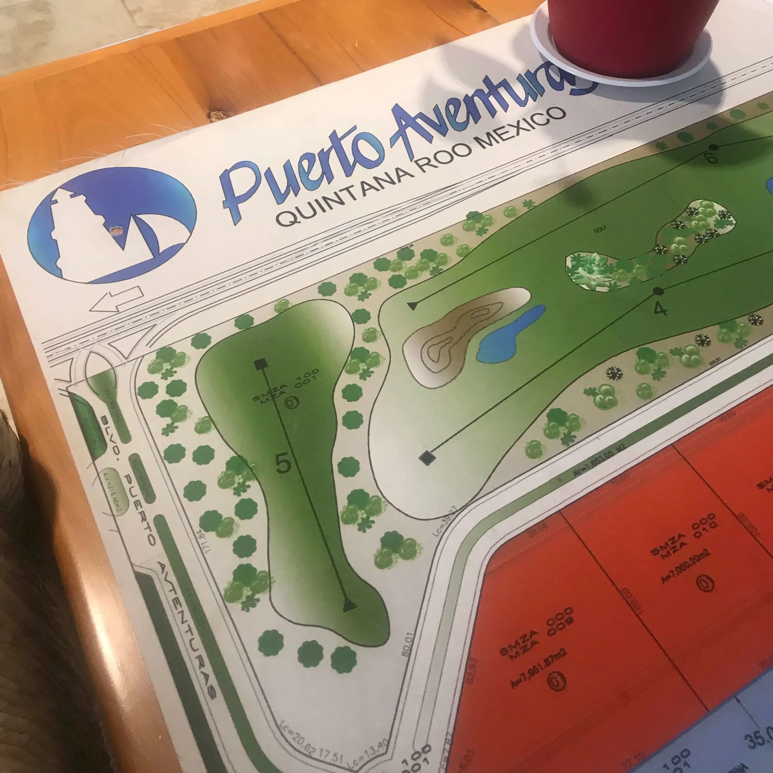 Puerto Aventuras might be just the place for you :)