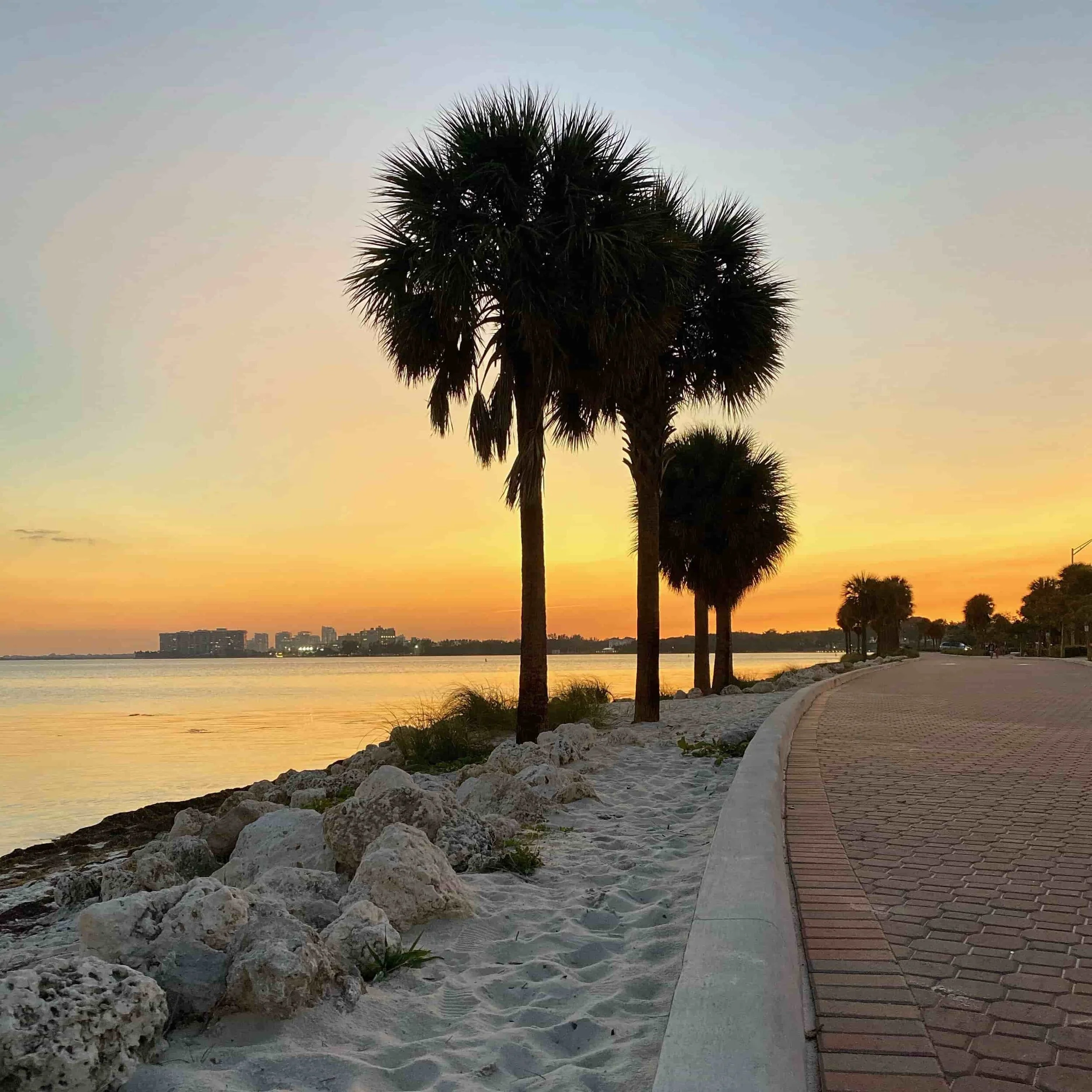 The intuitive mind is a sacred gift and the rational mind is a faithful servant - Albert Einstein 