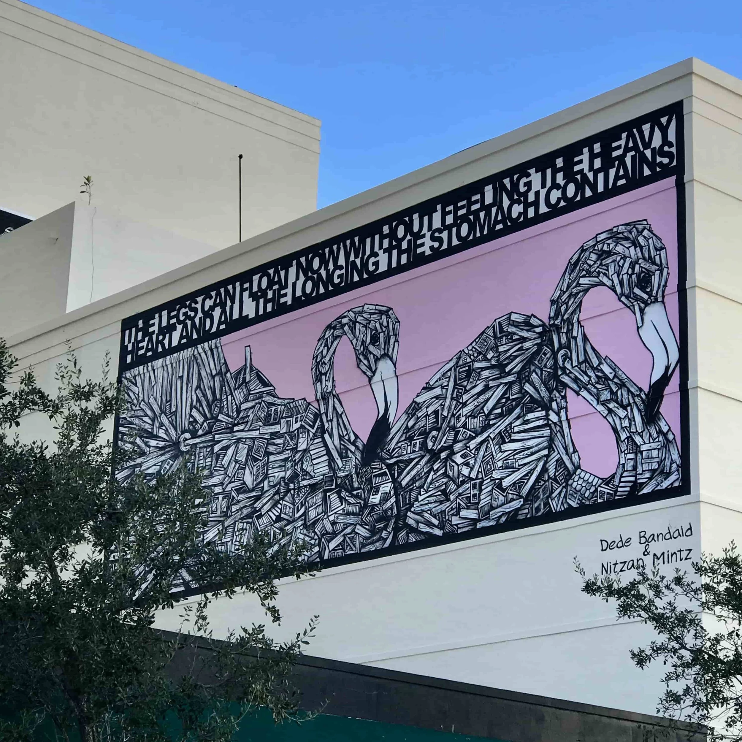 Black and White Flamingos: A collaboration between Nitzan Mintz and Dede Bandaid