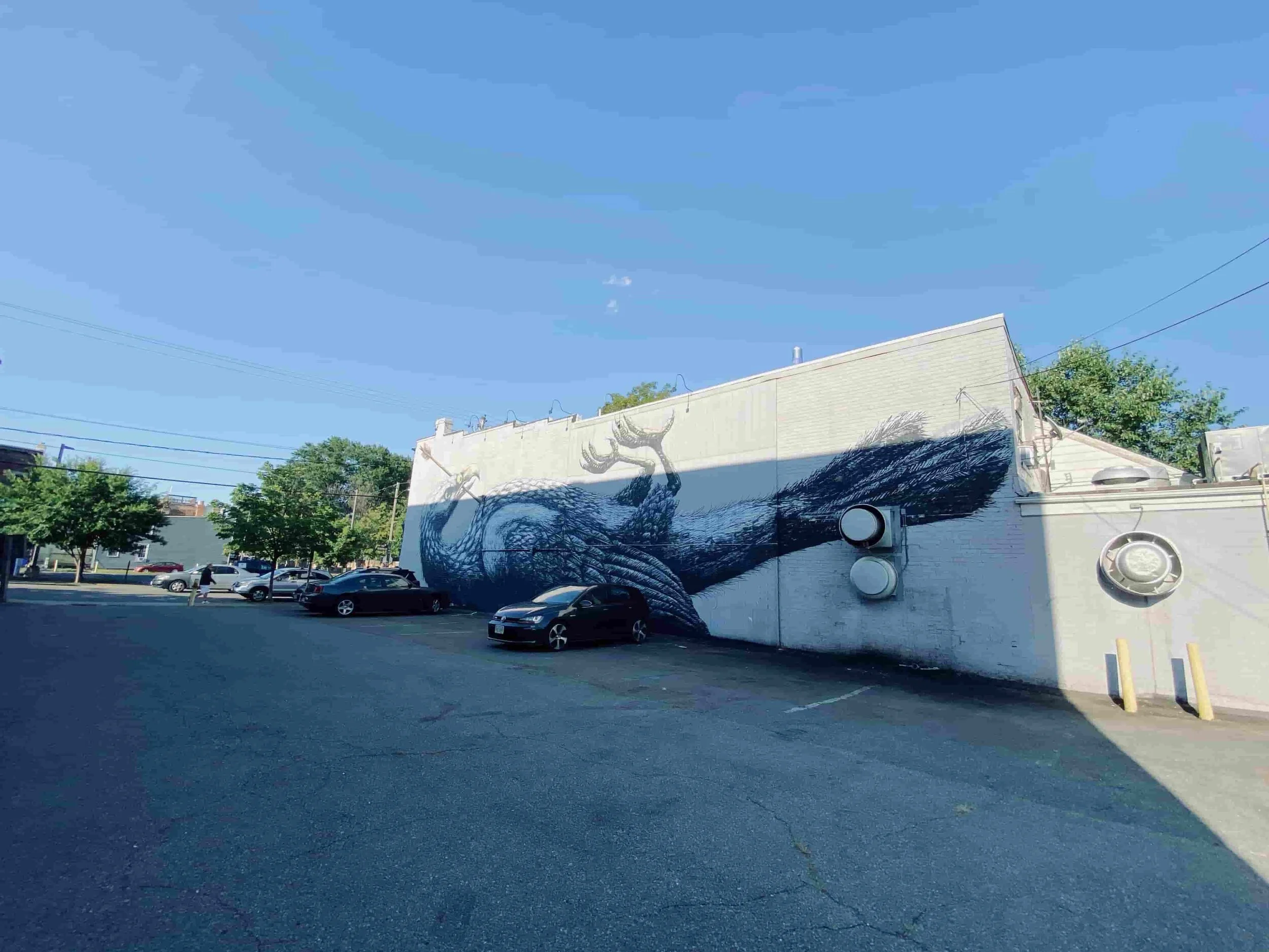 ROA in Richmond Virginia
