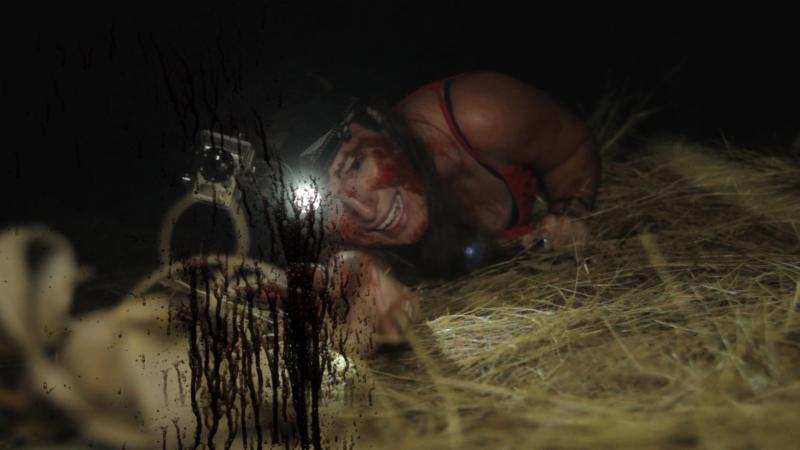 Chupacabra Territory stars genre favorite Sarah Nicklin ( The Haunting of Alice D, The Sins of Dracula, Flesh for the Inferno ), Michael Reed ( Dark Feed, Exhumed ), Megan Hensley ( The Crazies, Fake the Joy ), Julianne Tura ( Bloody Bloody Bible Camp, Chastity Bites ), and Pierre Kennel ( Man Down, Doonby )