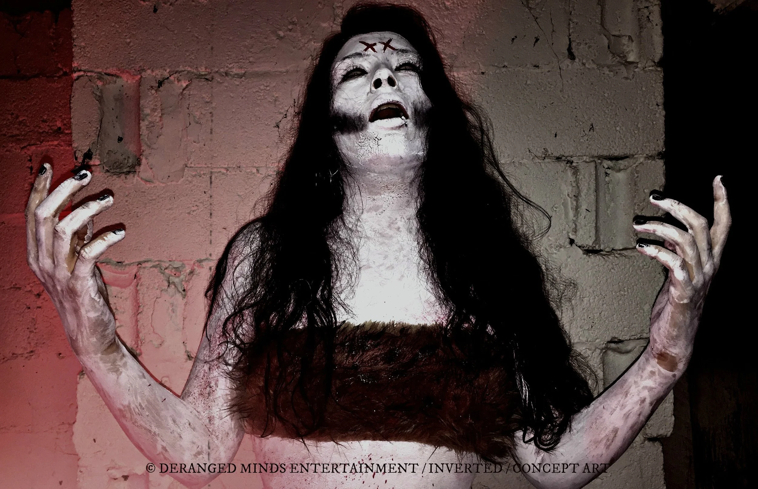 Set in the 70's, a centuries-old cult known as the "Inverts" kidnap four sin bearing individuals against their will to recruit for the holy war against the second coming of Christ. From a homosexual hippie, prostitute druggie, man in drag, and a pedofilic priest...they're all deemed to be choice victims to invert through initiations that push past the most brutal boundaries. 