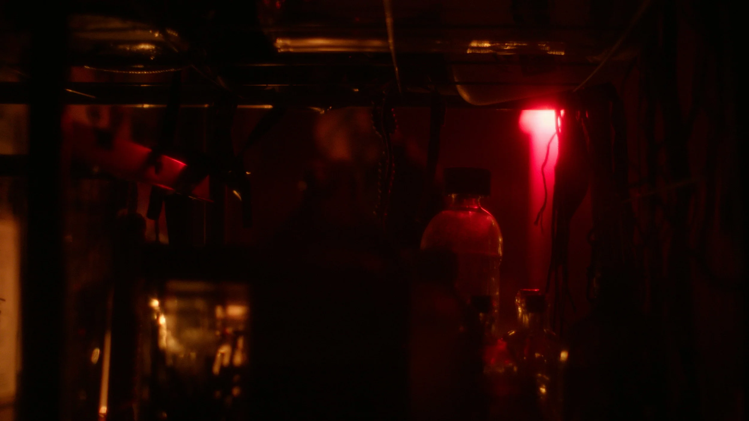 Abortion bomber lair - Red Christmas Photo by Douglas Burdorff.jpeg