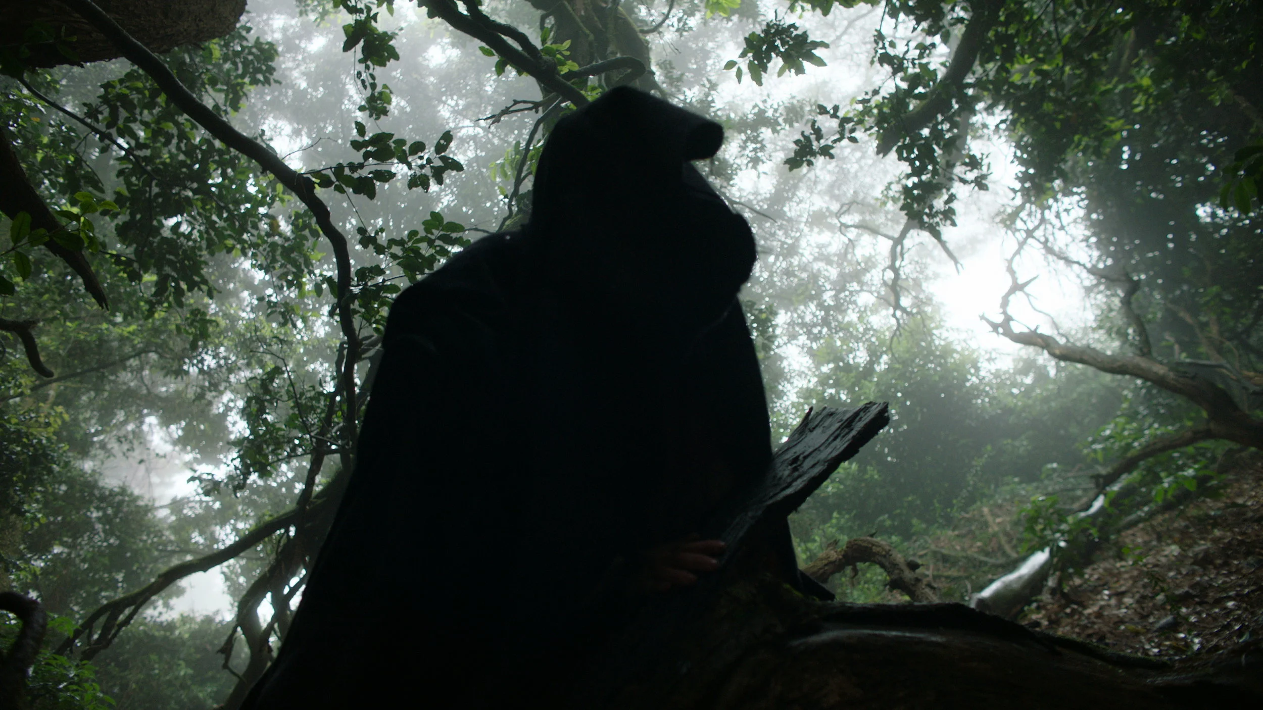 Cletus in Forest - Red Christmas Photo by Douglas Burdorff.jpeg