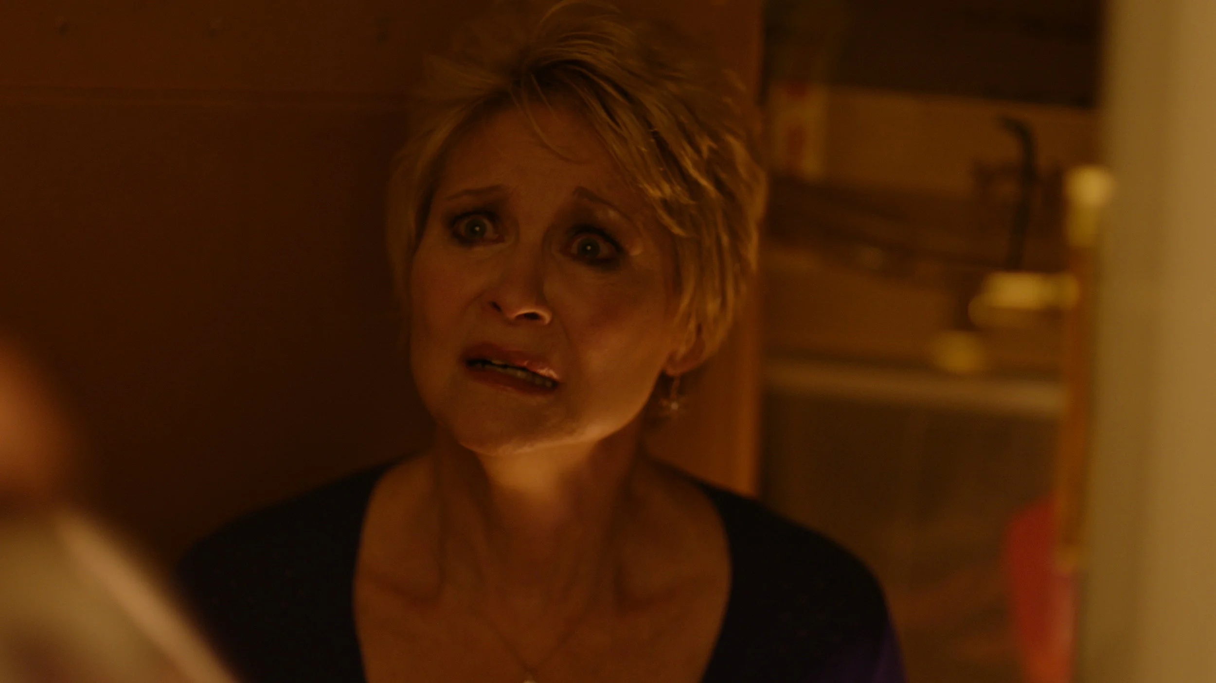 Dee Wallace Cupboard - Red Christmas Photo by Douglas Burdorff.jpeg