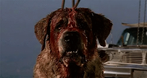 GaseousDeadlyAnglerfish-size_restricted.gif