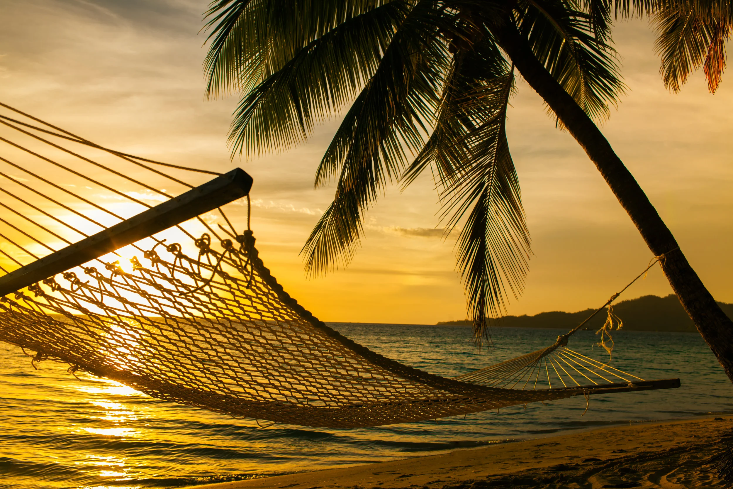 hammock.jpeg
