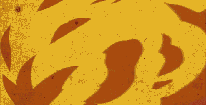HEAT 700x.gif