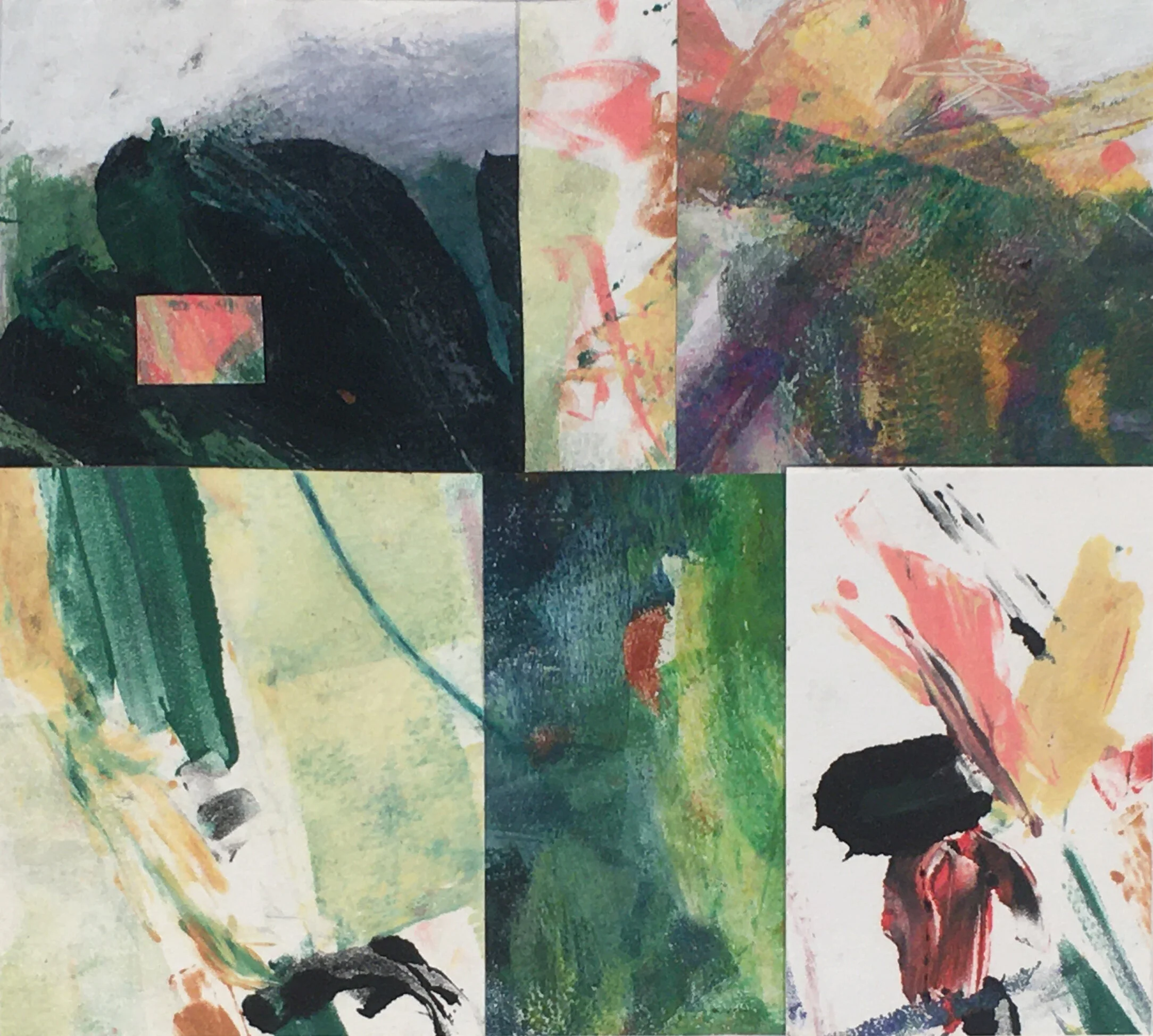 A Splash of Pink.JPG