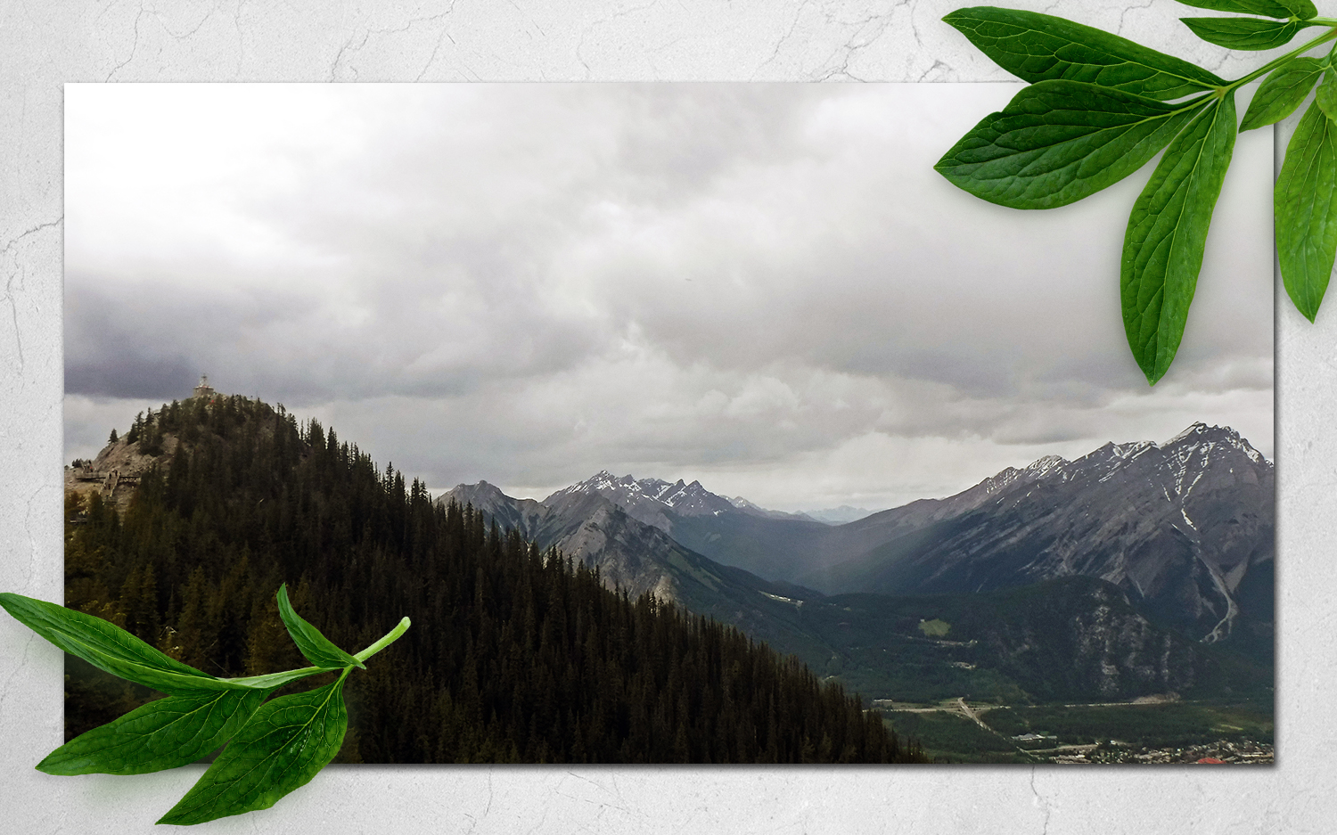 20130731_Trade 100_0202.jpg