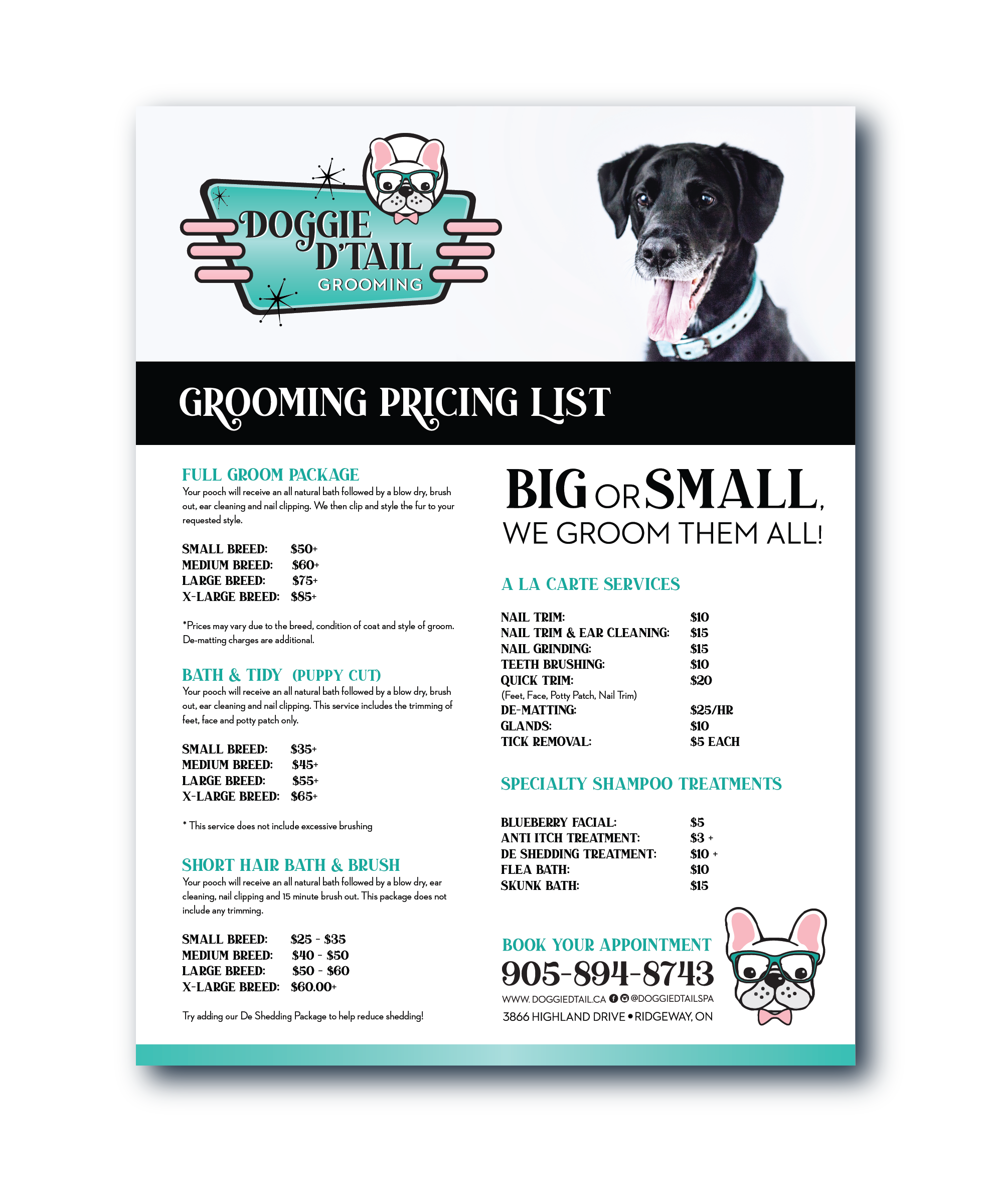 doggiedtail-01.png