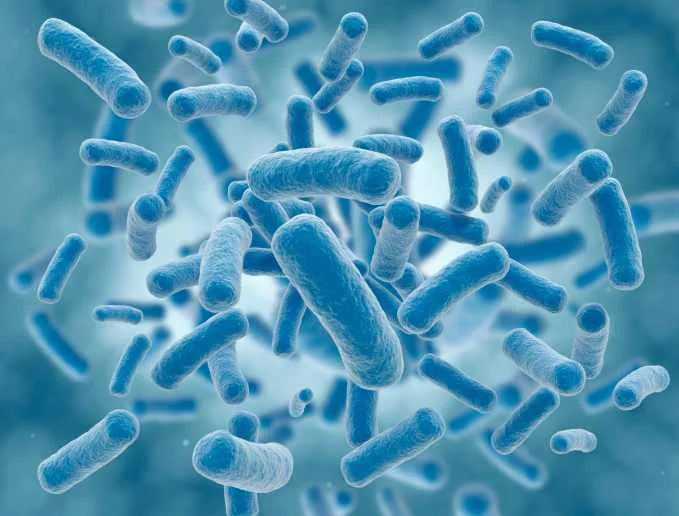 Why You Need Your Microbiome and How to Take Care of It
