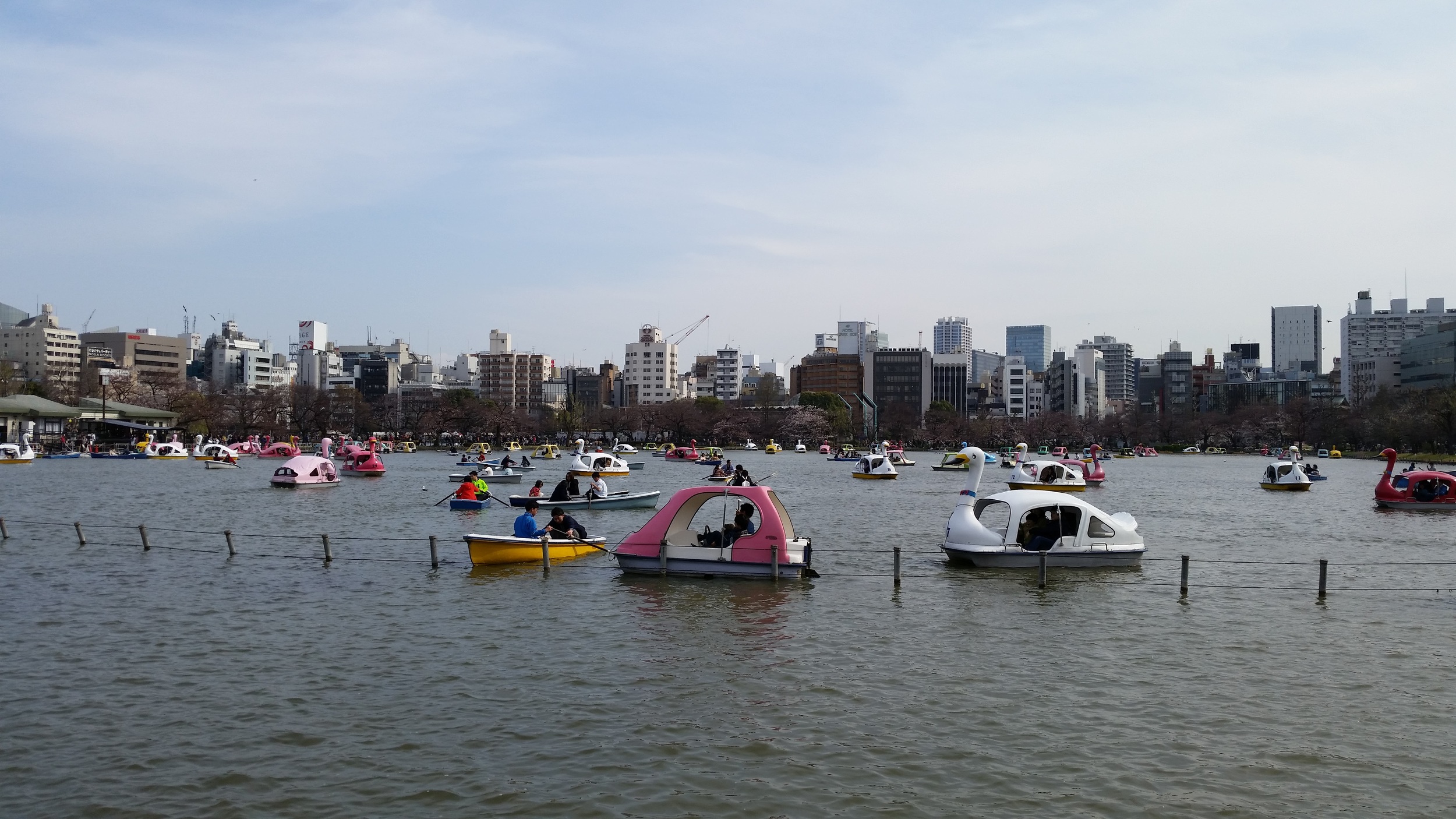 20160328_223144.jpg