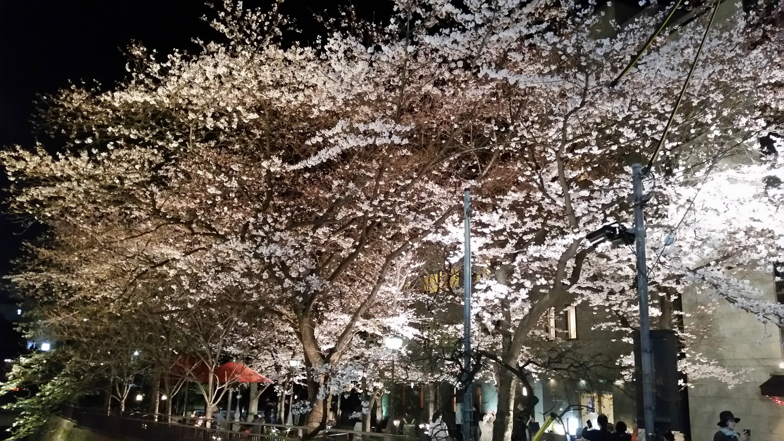 20160330_054830.jpg
