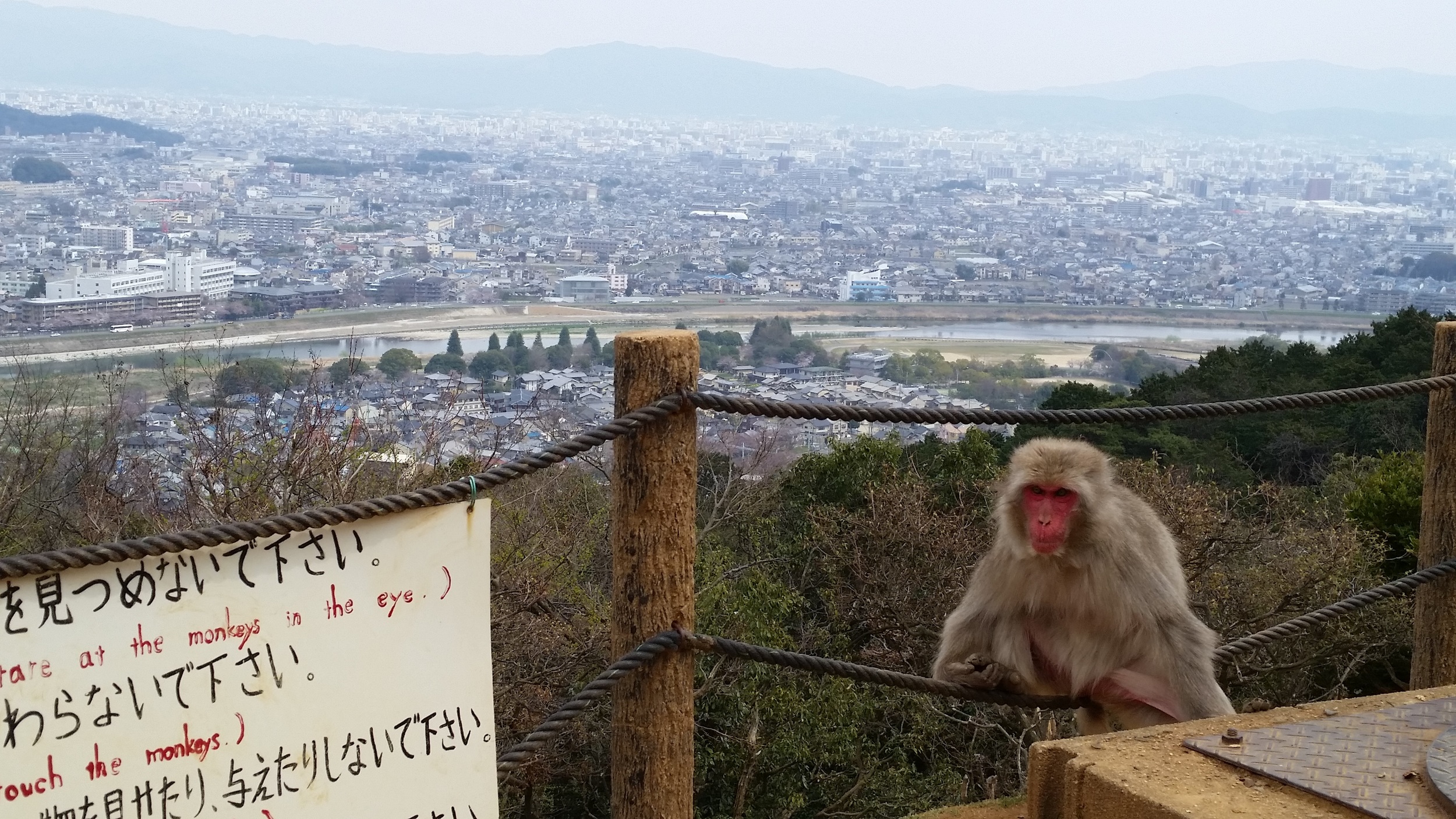 20160330_204327.jpg