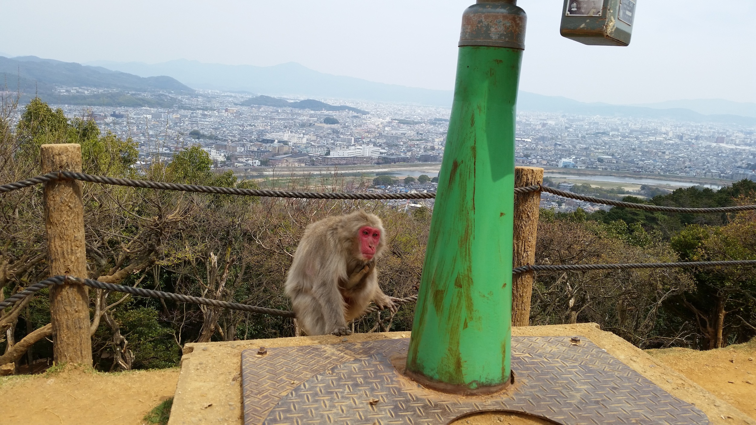 20160330_210413.jpg