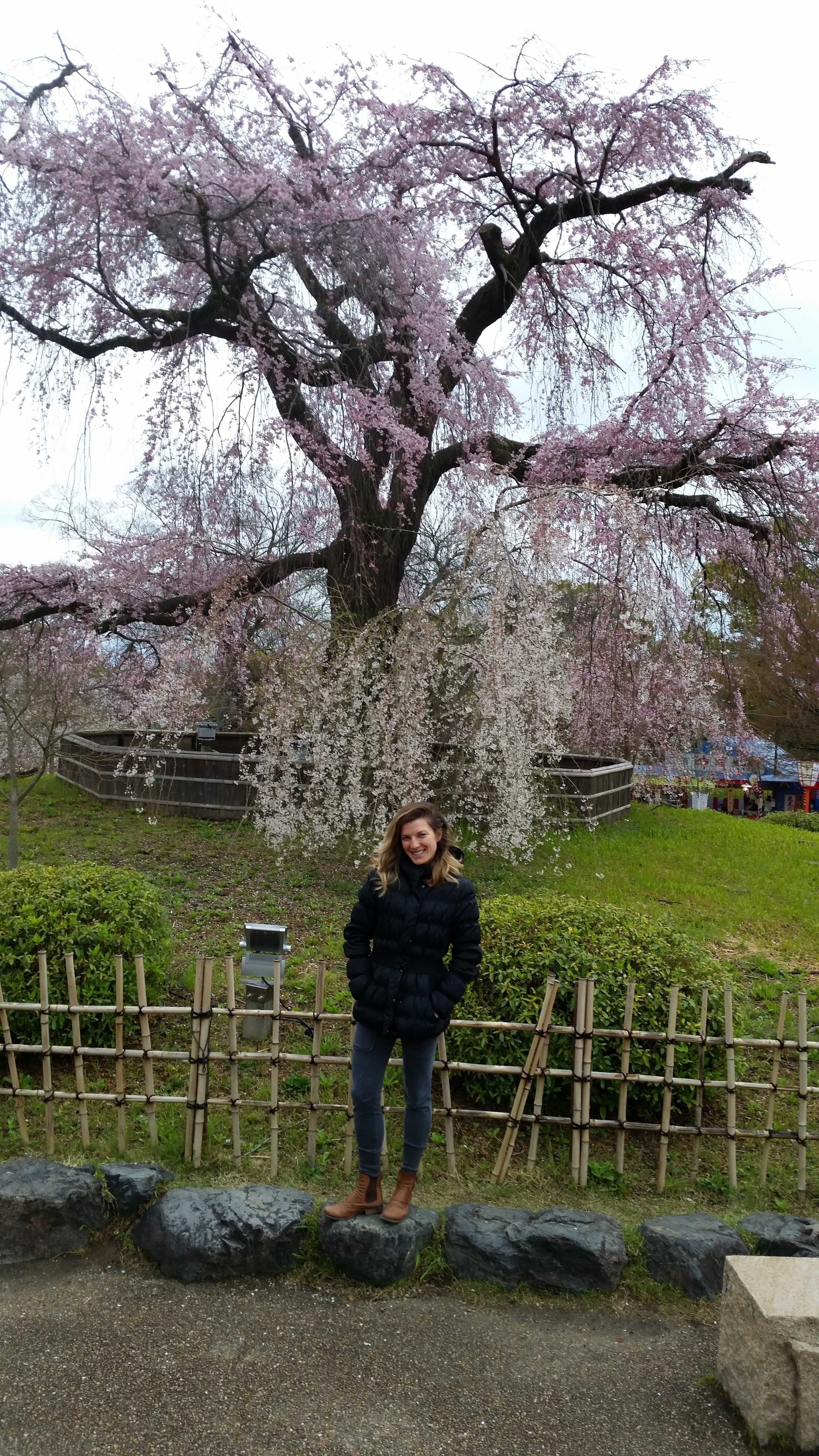 20160331_234957.jpg