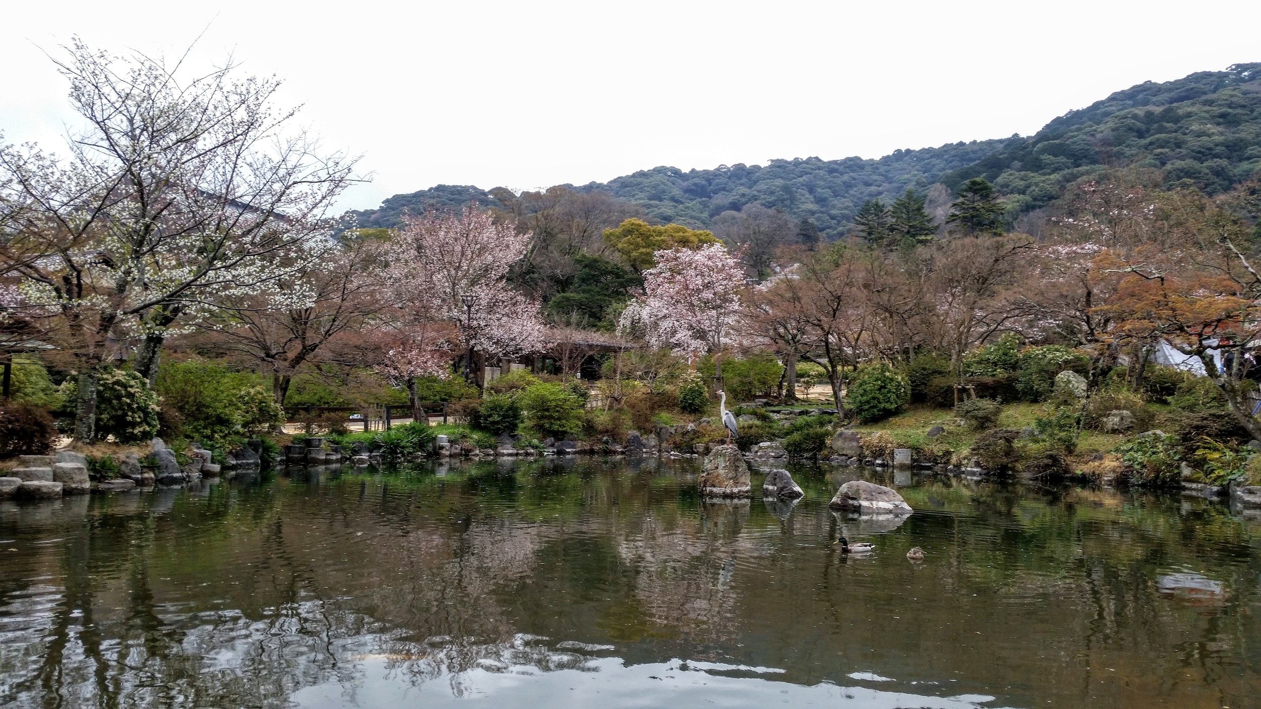 20160331_235115.jpg