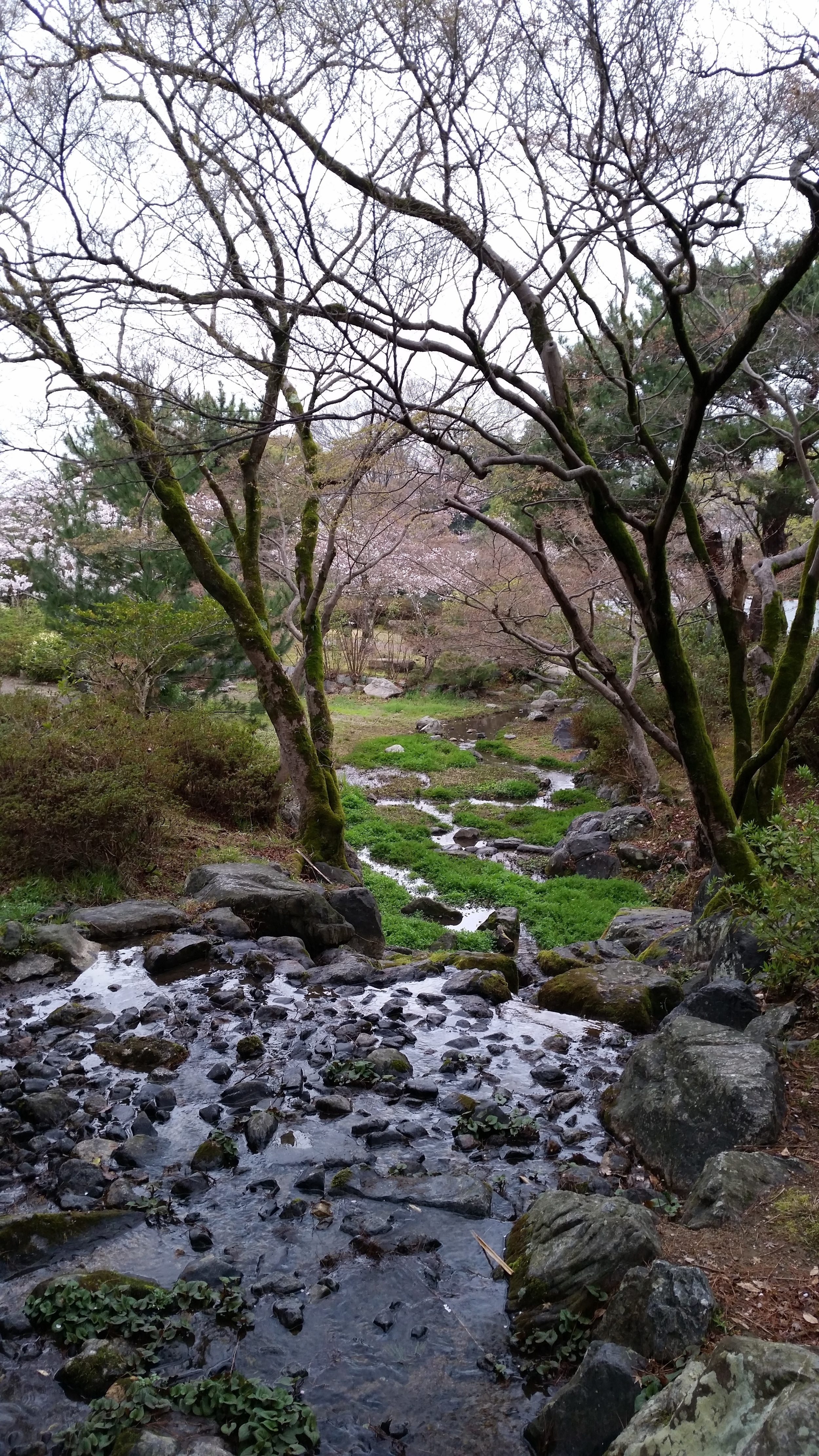 20160401_000330.jpg