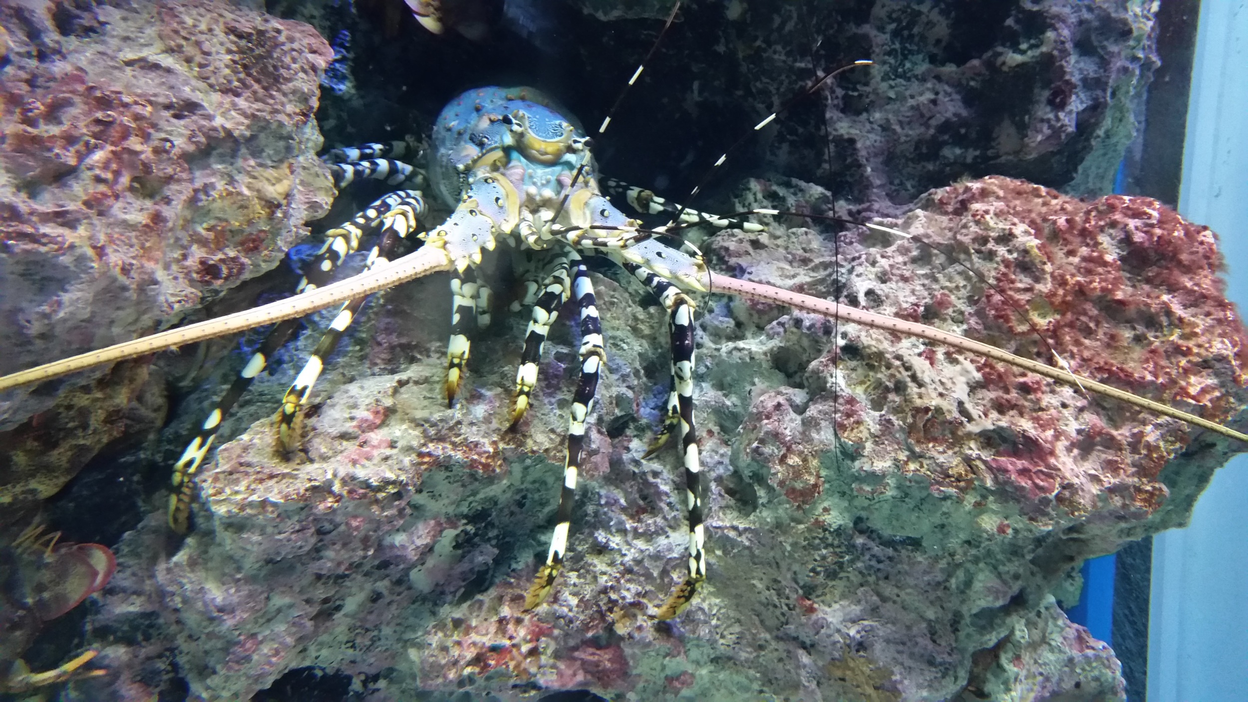 20160407_115754.jpg