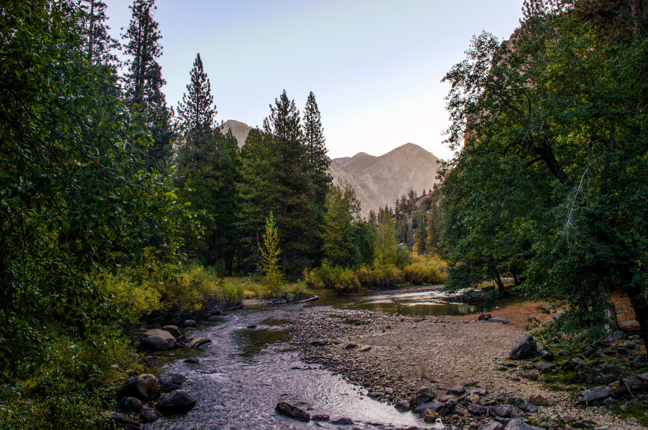 DSC_3391hdr.jpg