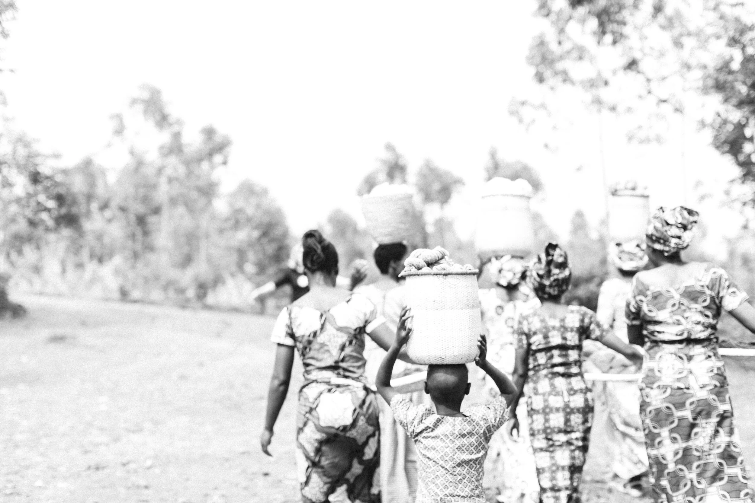 True Vines and New Beginnings