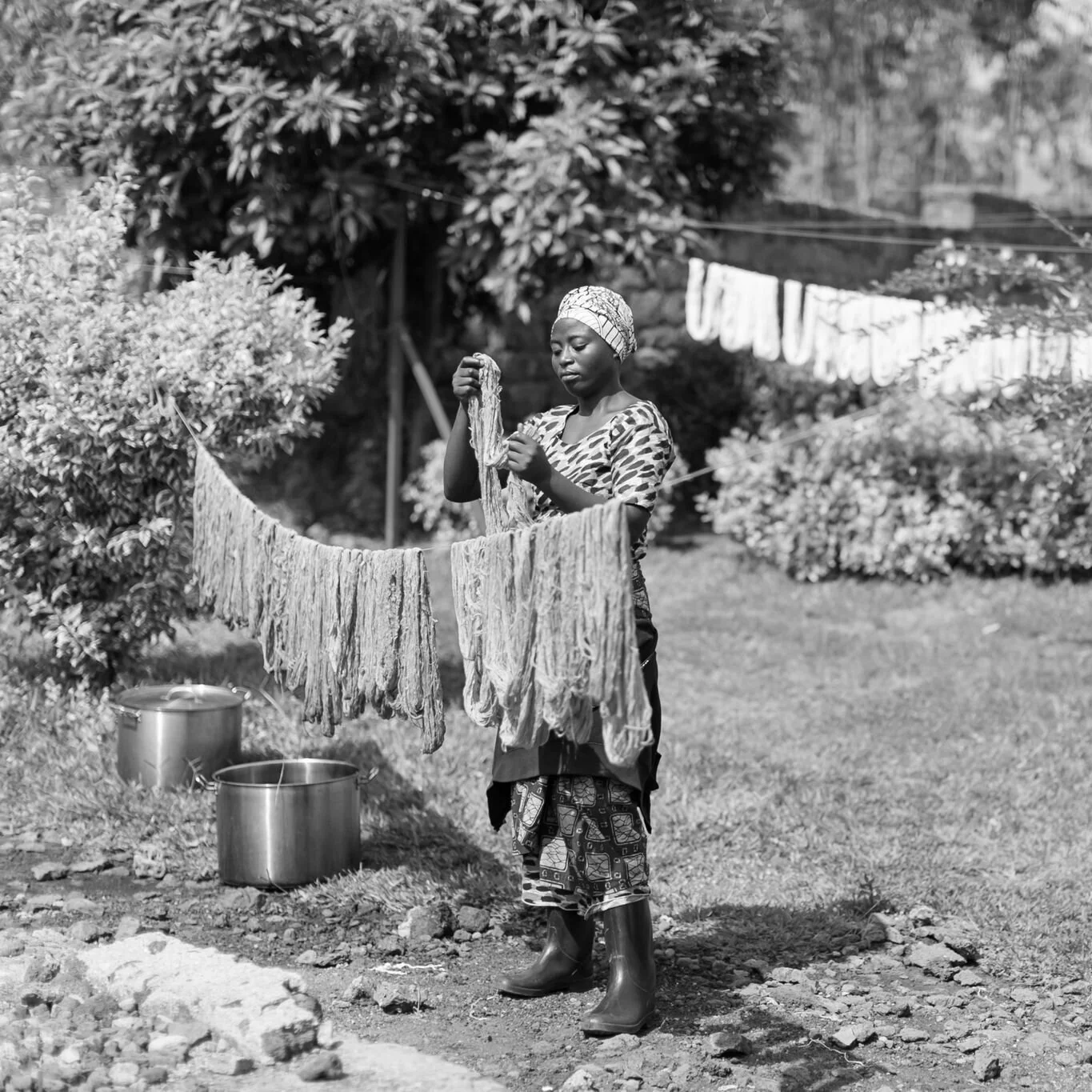 A COVID-19 Update and a Prayer Request