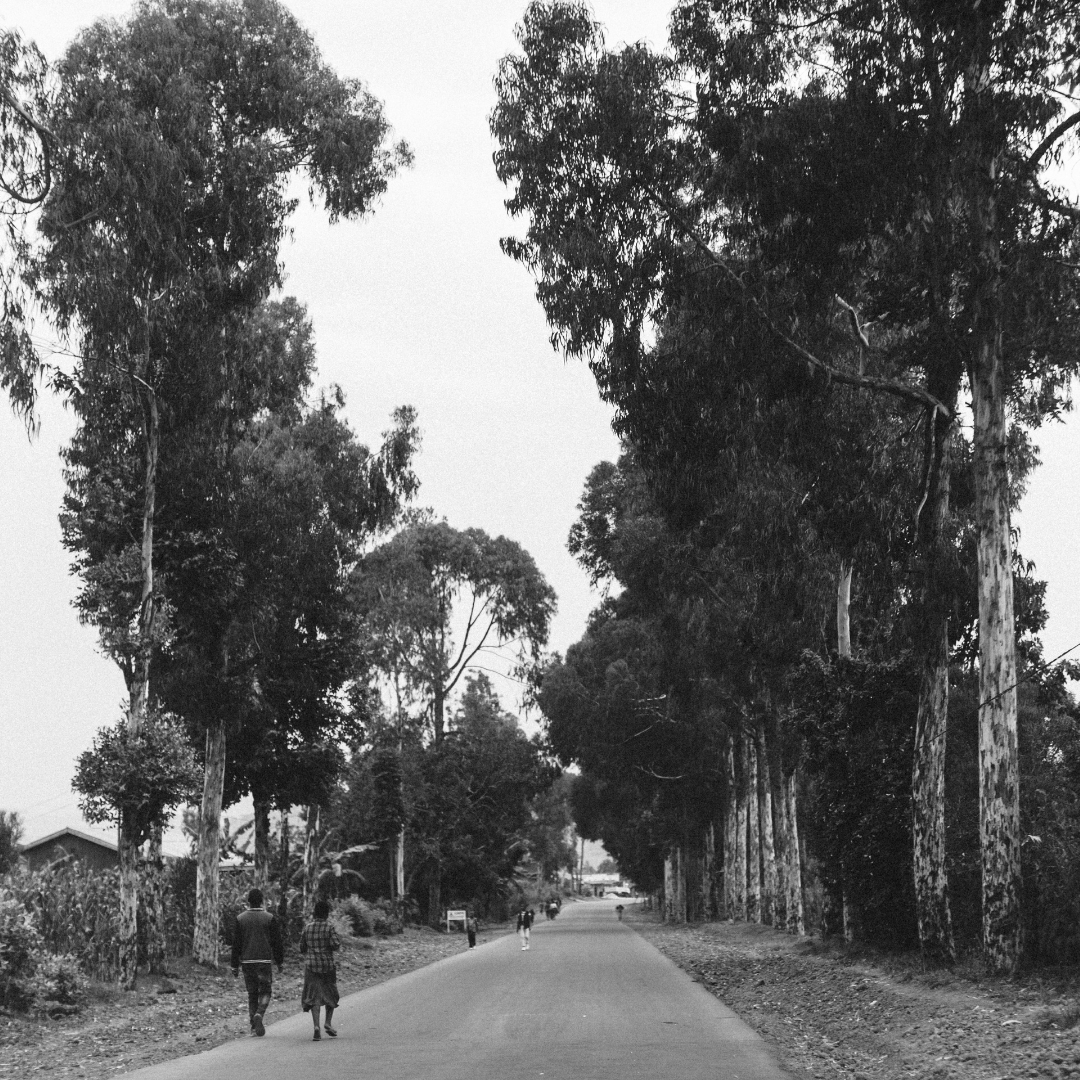 International Day of Reflection on the Genocide against the Tutsi