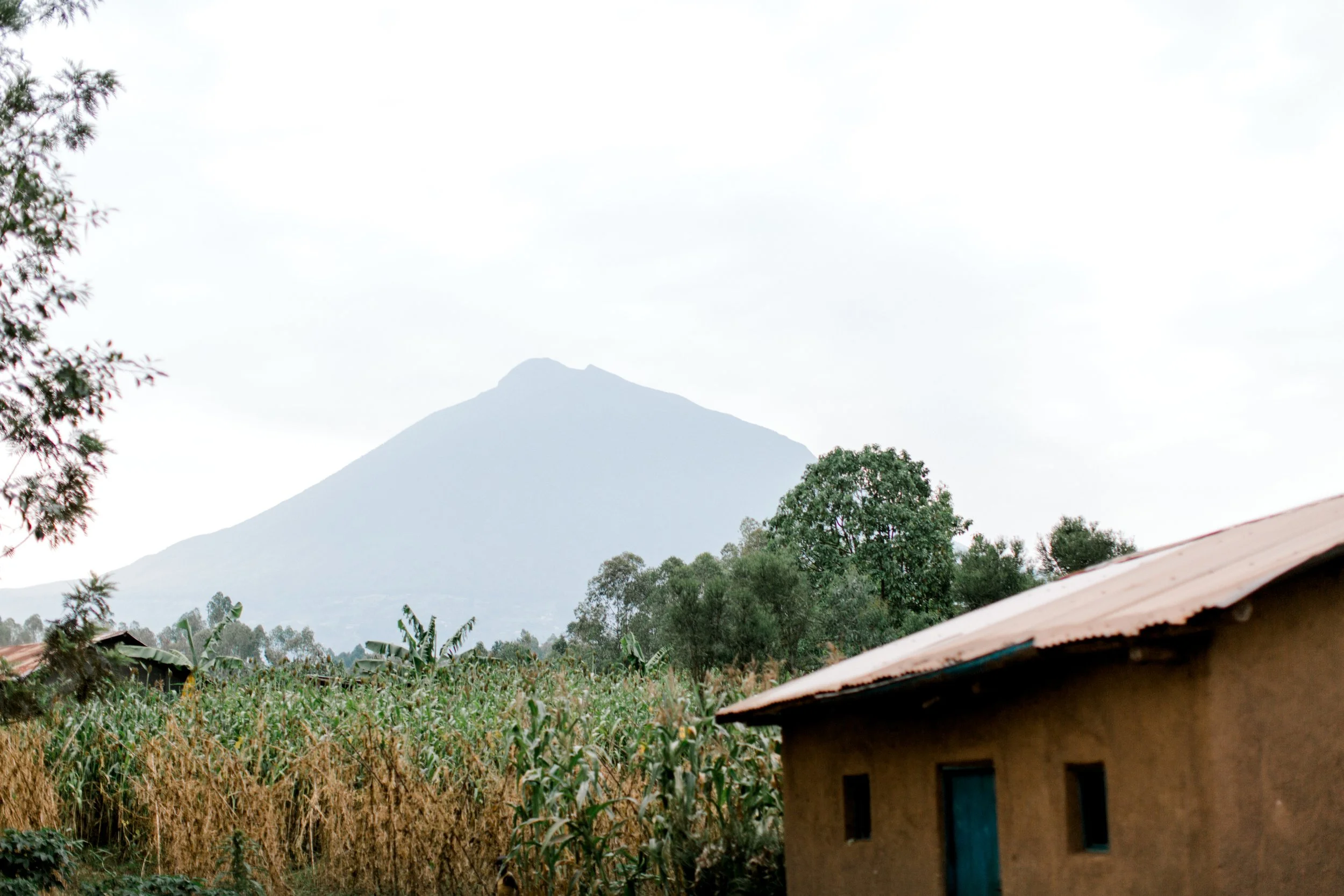 The Impact of April 7th: Remembering and Working to Heal