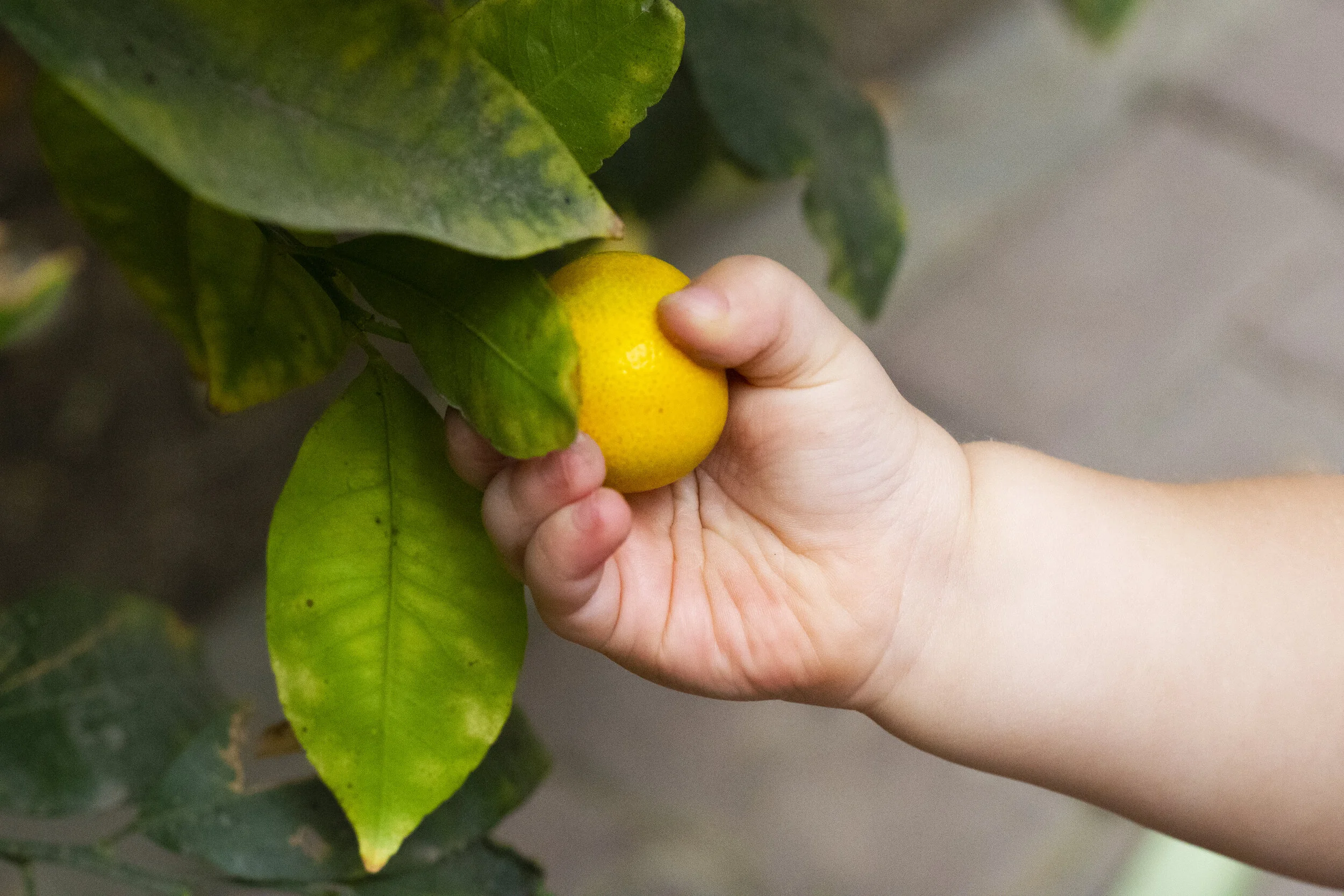 The Healthiest Baby Food Pouches: 9 Best Baby Food Pouches For Your Baby