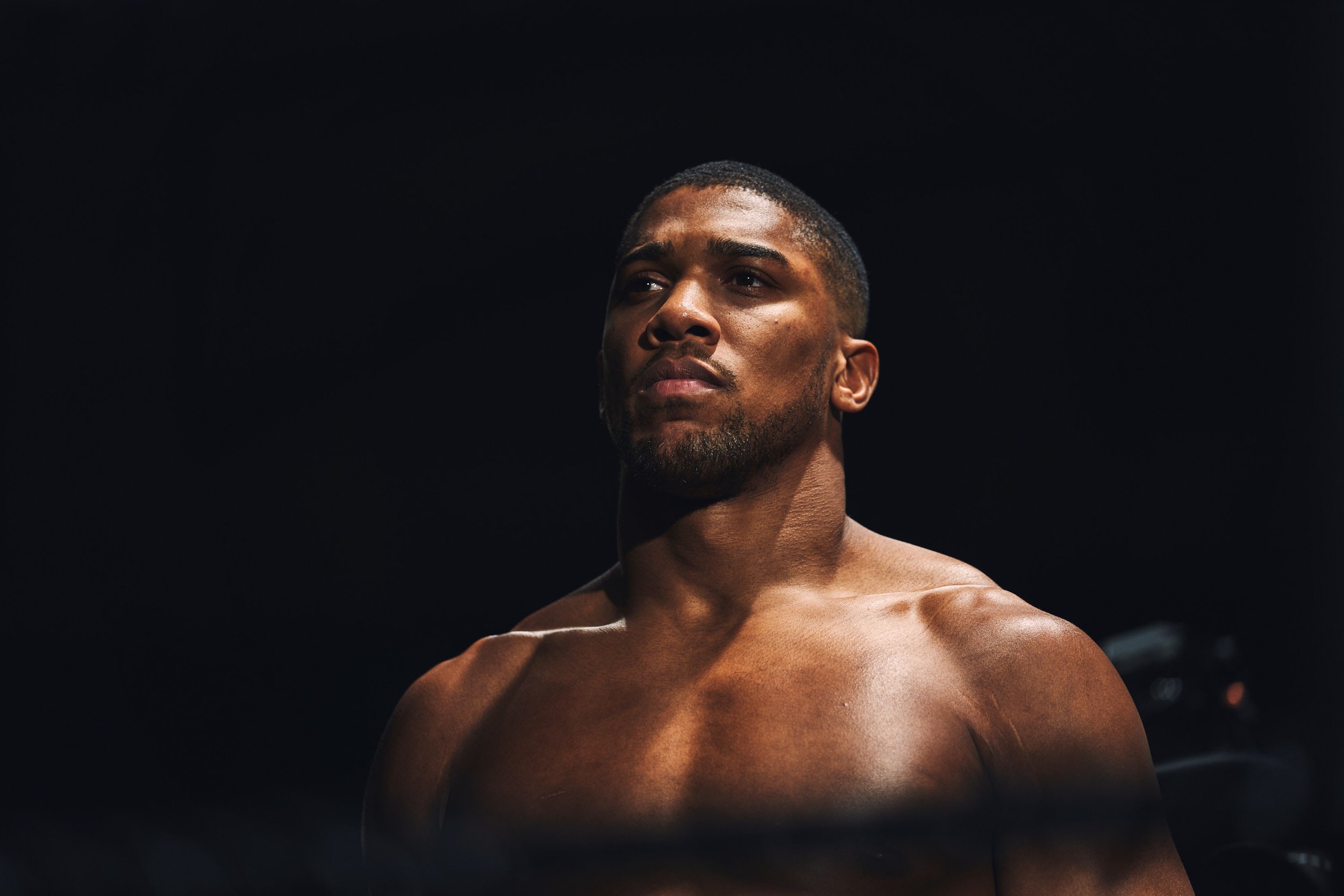 Stockdale_UA_Anthony_Joshua3.jpg