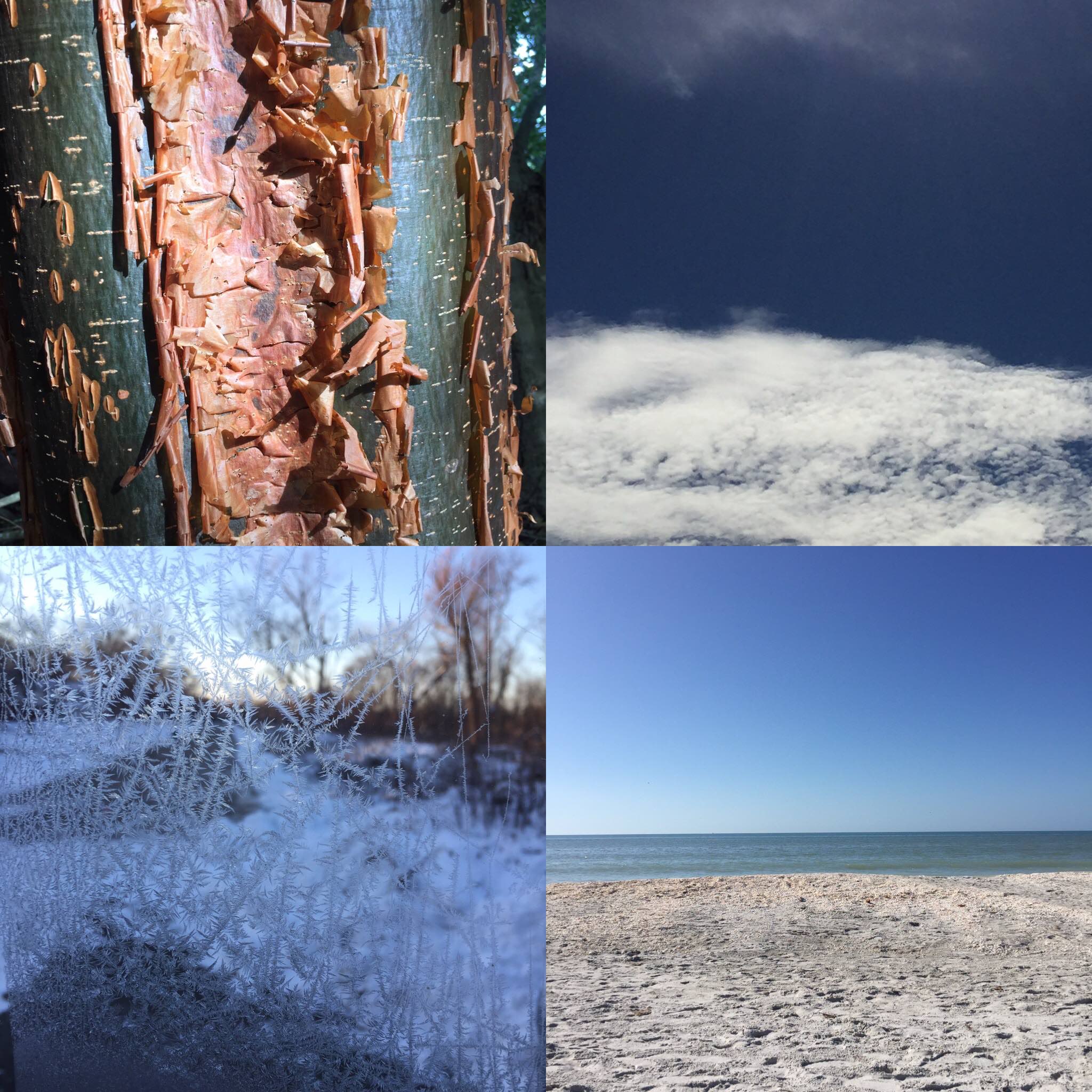 Four images found while looking for inspiration for 2017 series.