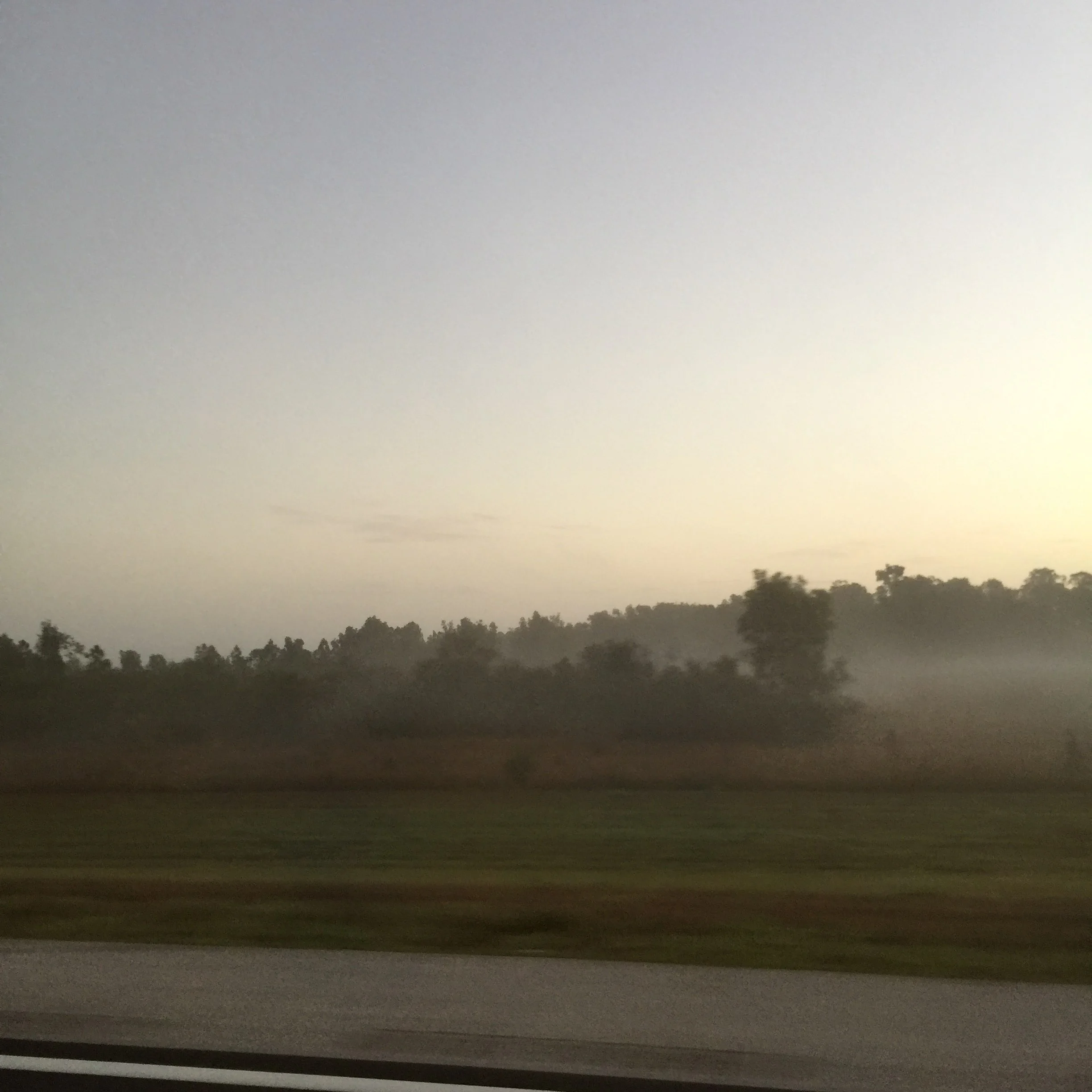 Low lying fog off of Highway 75 in Florida