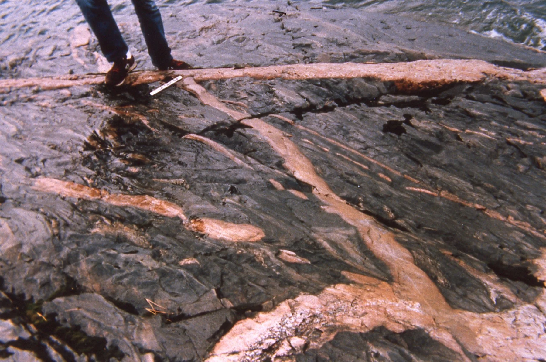 Sugarloaf Dike on Partridge Point with Dr. Palmquist's feet for scale. so cool!