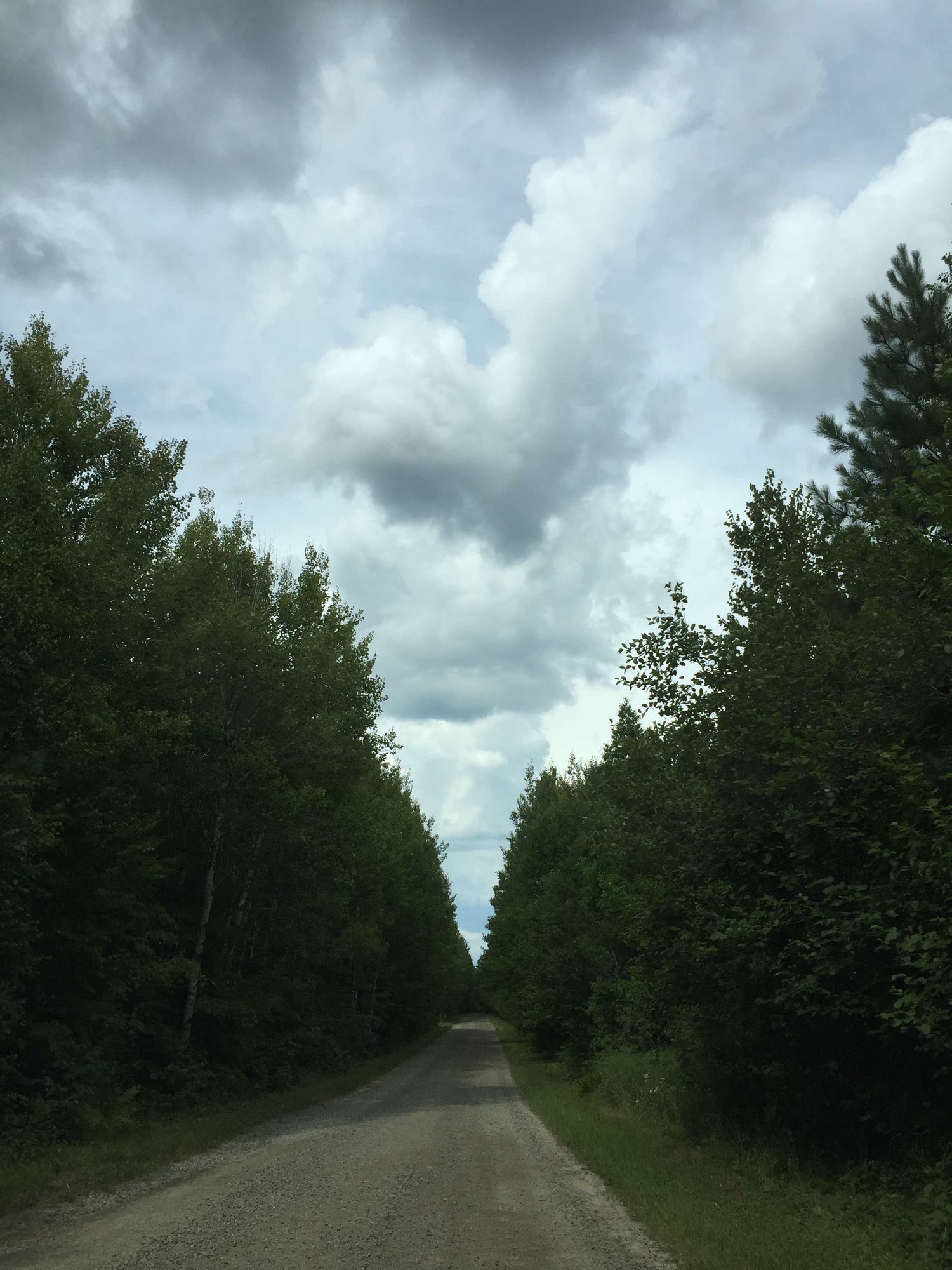 Going Up North