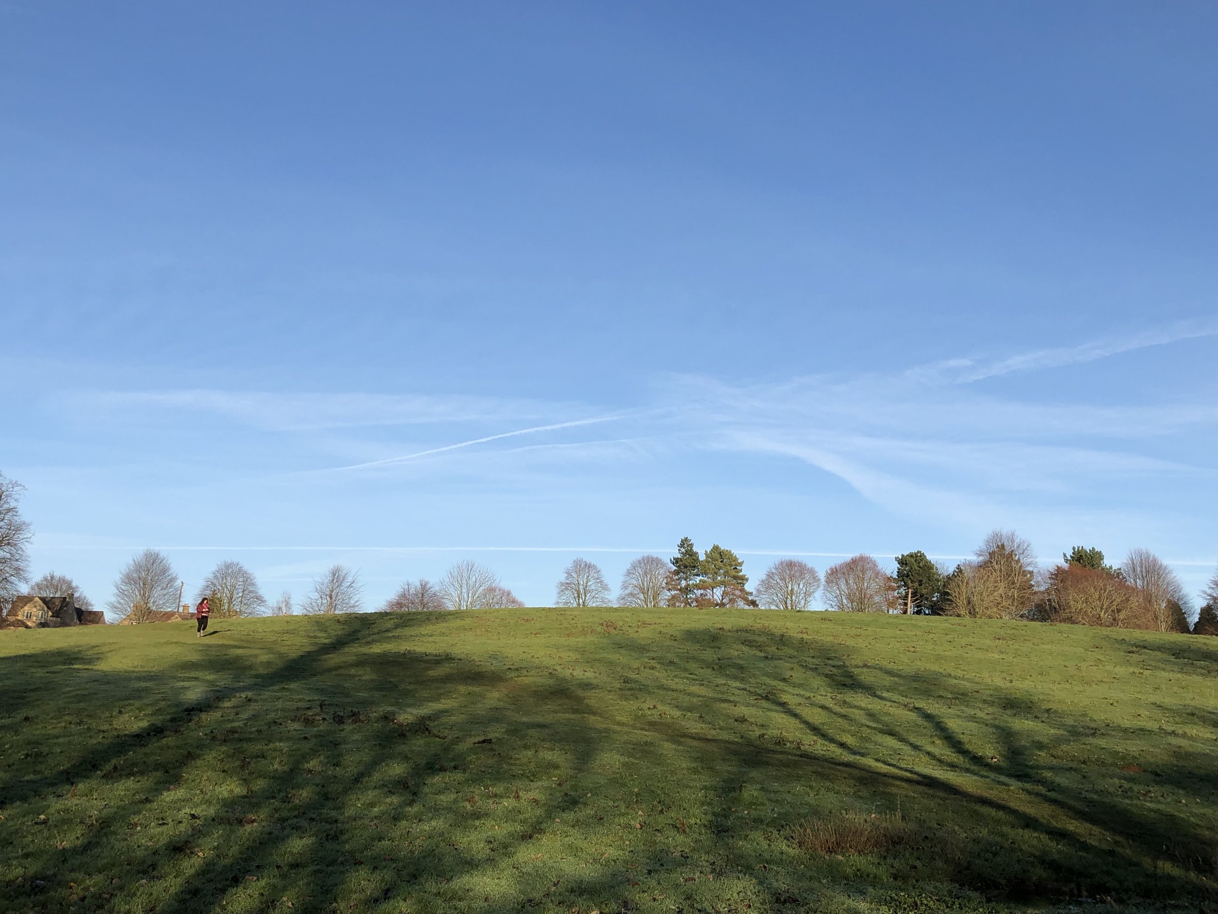 Trees and shadows in the Cotswolds, 2018.