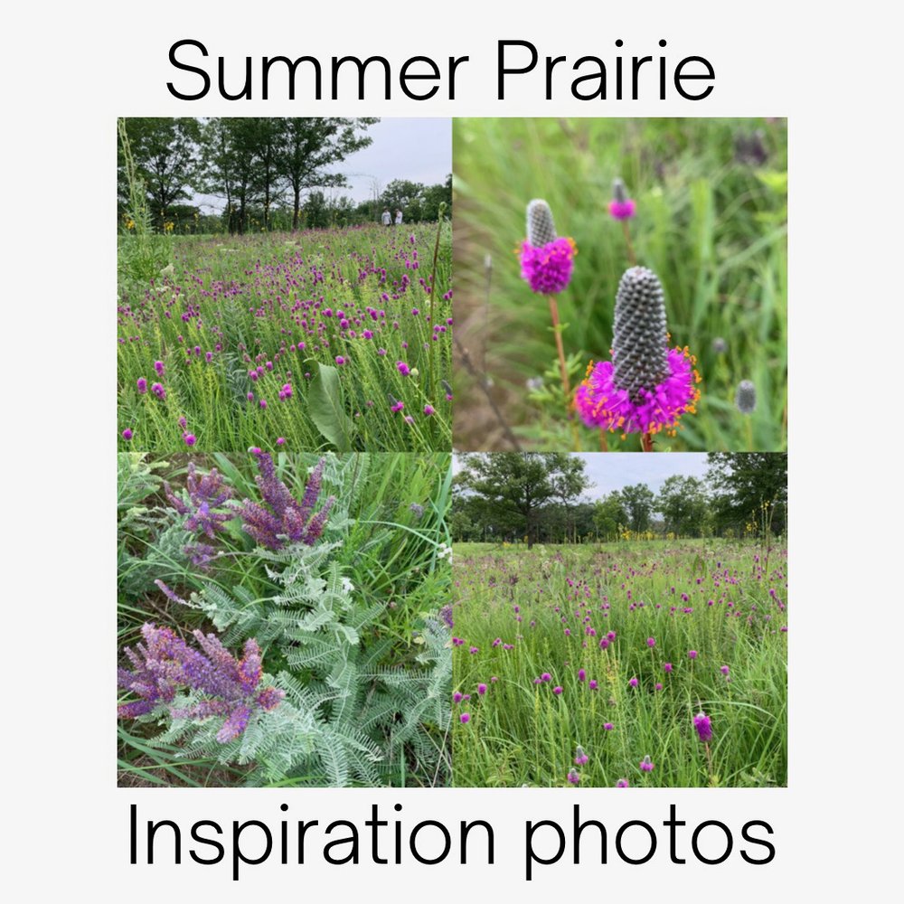 Summer Prairie #5.3.jpeg