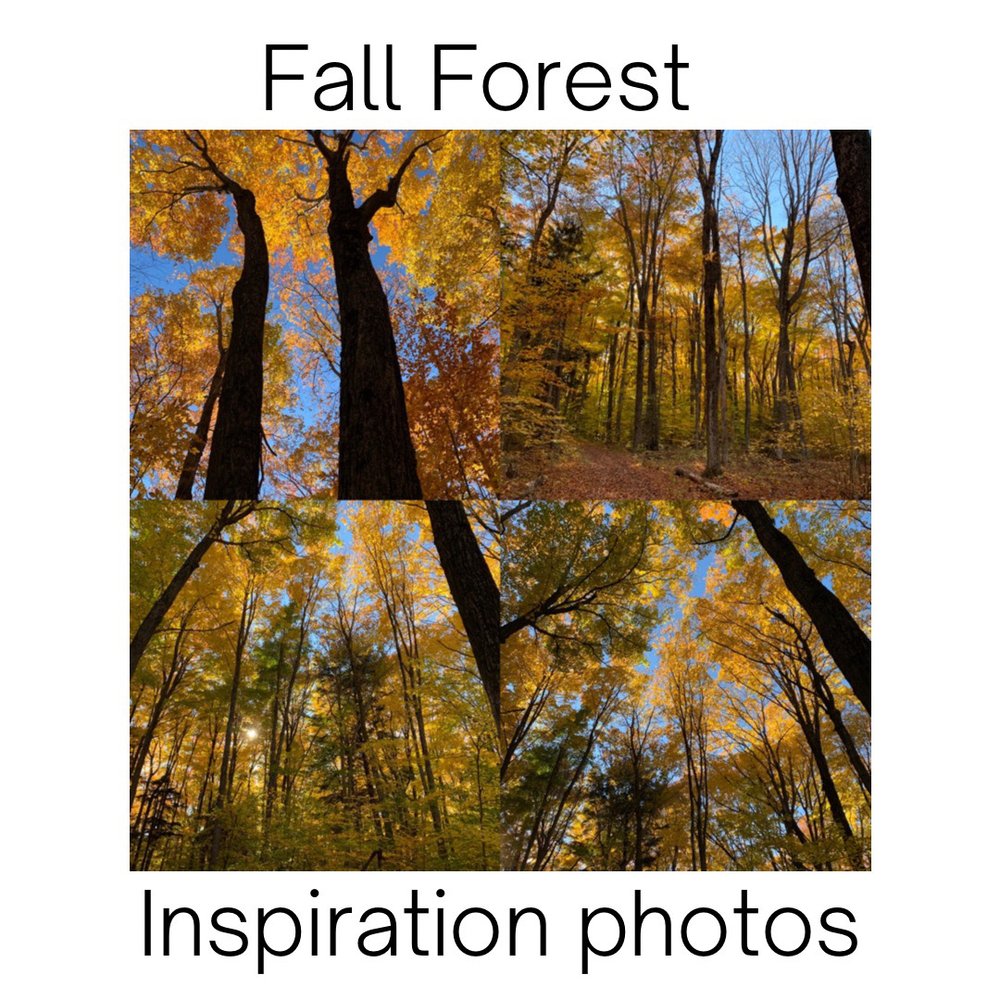 Fall Forest #6.3   .jpeg