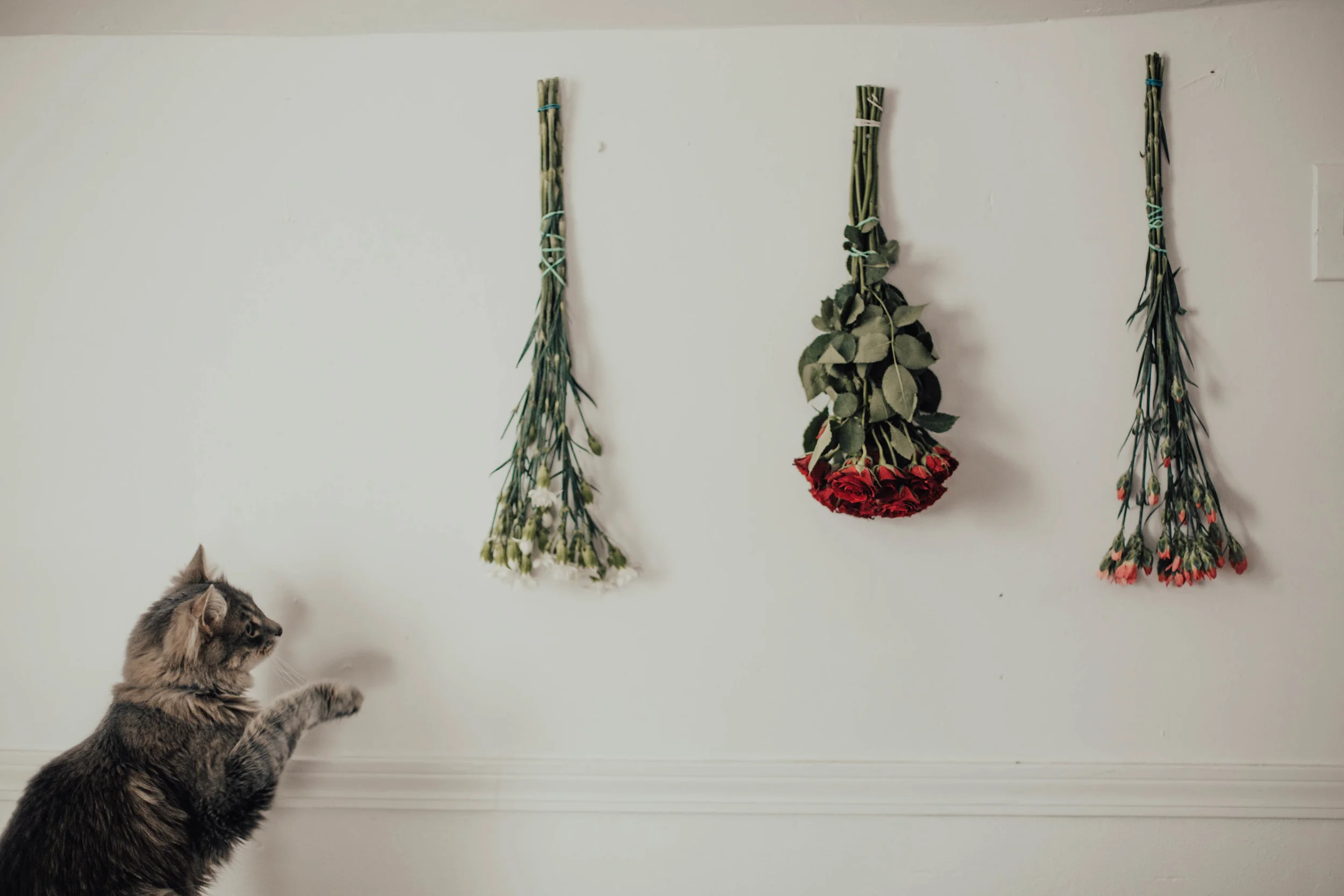 Colorado Wedding Photographer // Creative Office Space // Where the Magic Happens