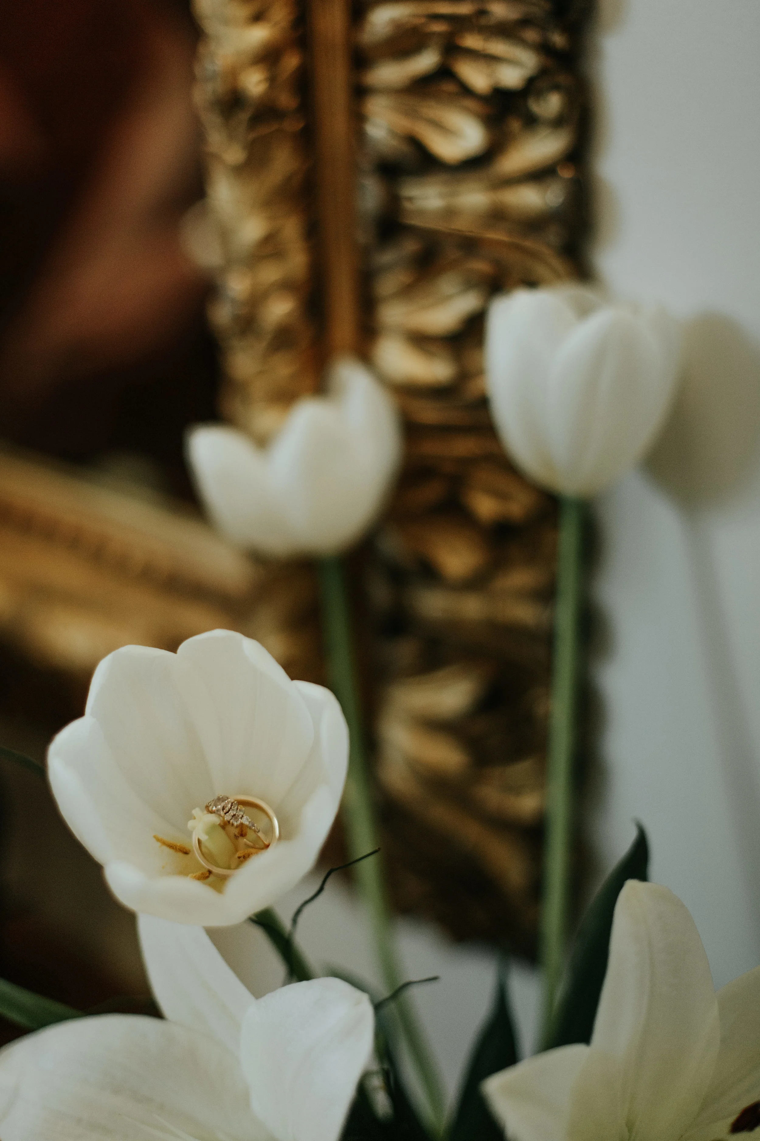 Redden Photography, Redden Wood, The St. Vrain, Madeline Rose Designs, Dashwood Floral, Brindle and Oak, Rocky Mountain Bride, Clancey James Photography, Clancey James Creative, Clancey, Jaicee Morgan, Lindy Copeland, Lindsey Boluyt, Maddie Mae, Mad…