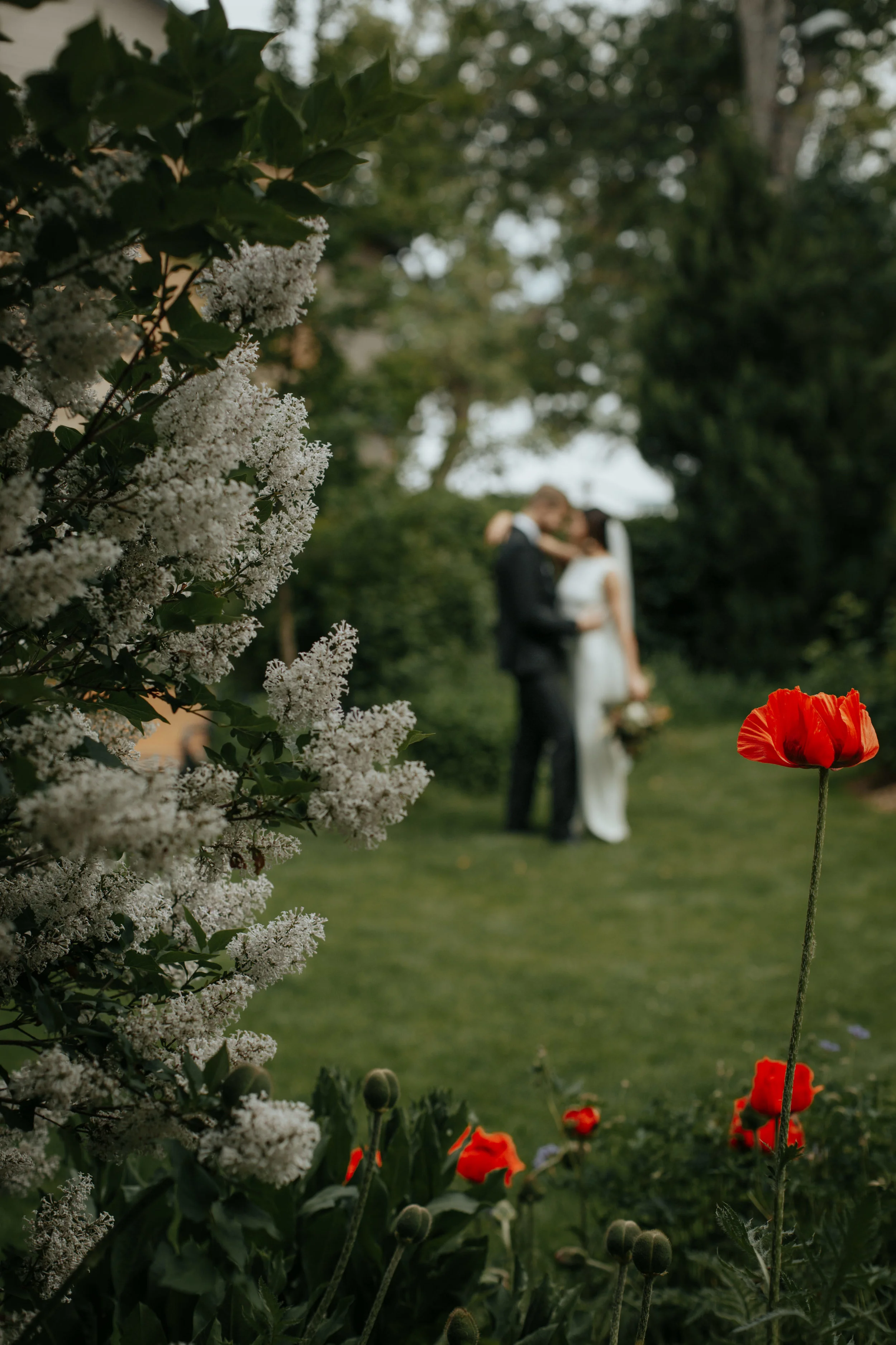 Redden Photography, Redden Wood, The St. Vrain, Madeline Rose Designs, Dashwood Floral, Brindle and Oak, Rocky Mountain Bride, Clancey James Photography, Clancey James Creative, Clancey, Jaicee Morgan, Lindy Copeland, Lindsey Boluyt, Maddie Mae, Mad…