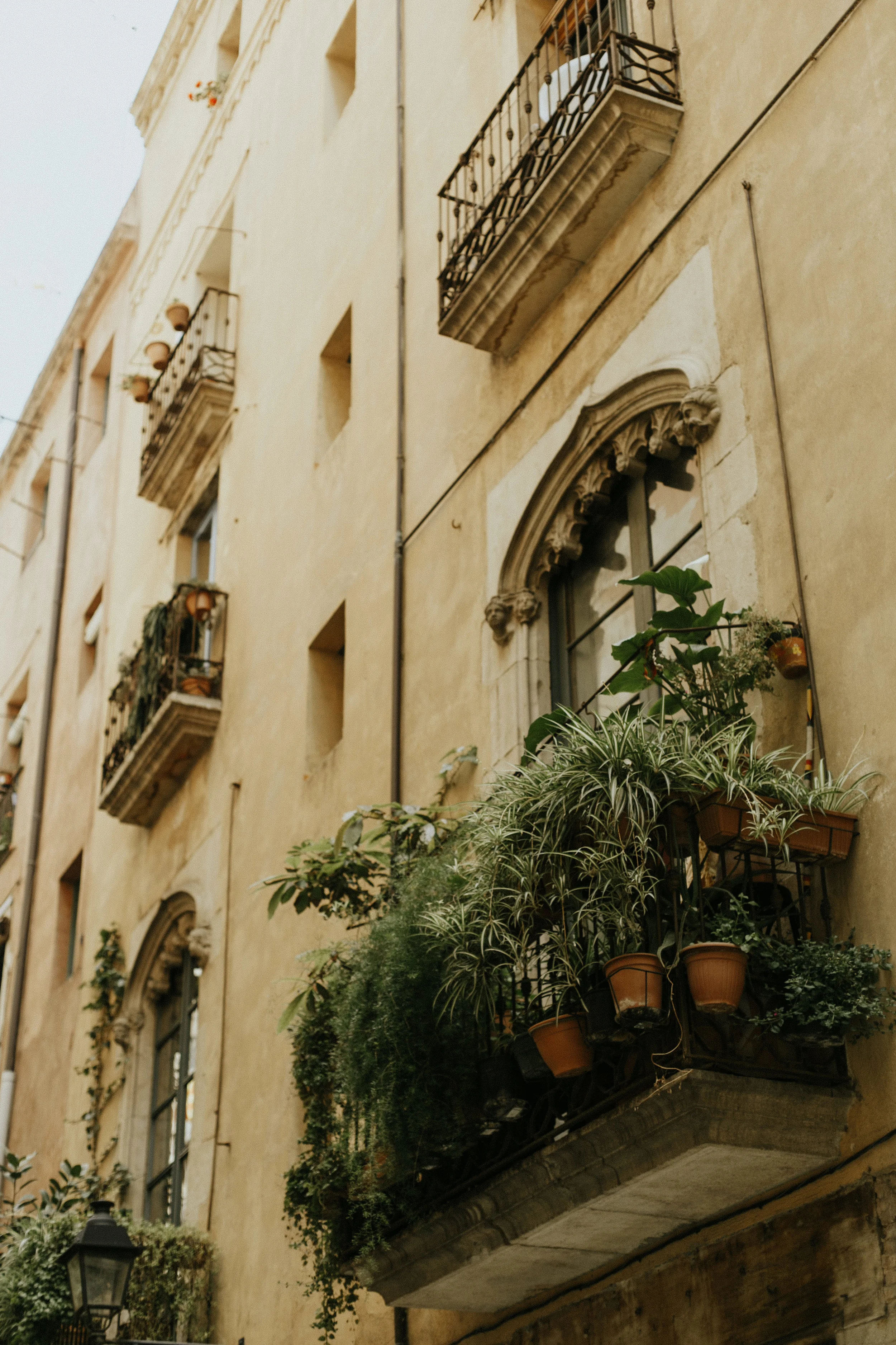 Barcelona Wedding Photographer, Barcelona Bridal Week, Leanne Marshall, Once wed, Darling, Zara, Zara Barcelona, Parque de Laboring de l’horta, Airbnb, Cotton House Hotel, Barcelona Photographer, Travel, Travel Barcelona, Travel Spain, Spain Wedding Photographer