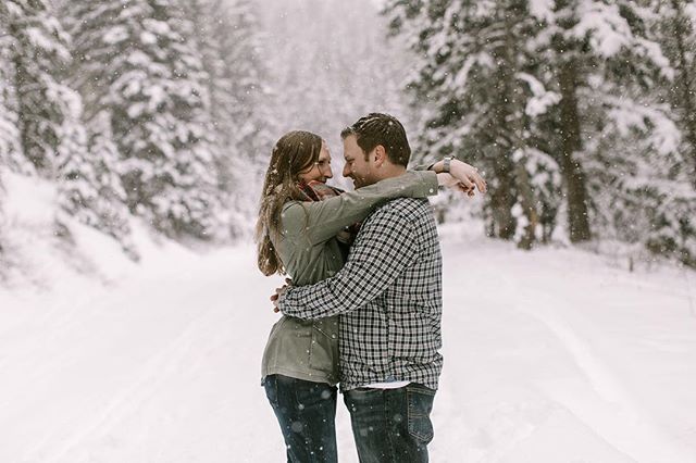 Trying to squeeze in all my snow photos before we officially enter April -
One of my very favorite things about shooting in snowy weather is when you zoom in and get to see all the little snowflakes. This has probably been one of the snowiest winters