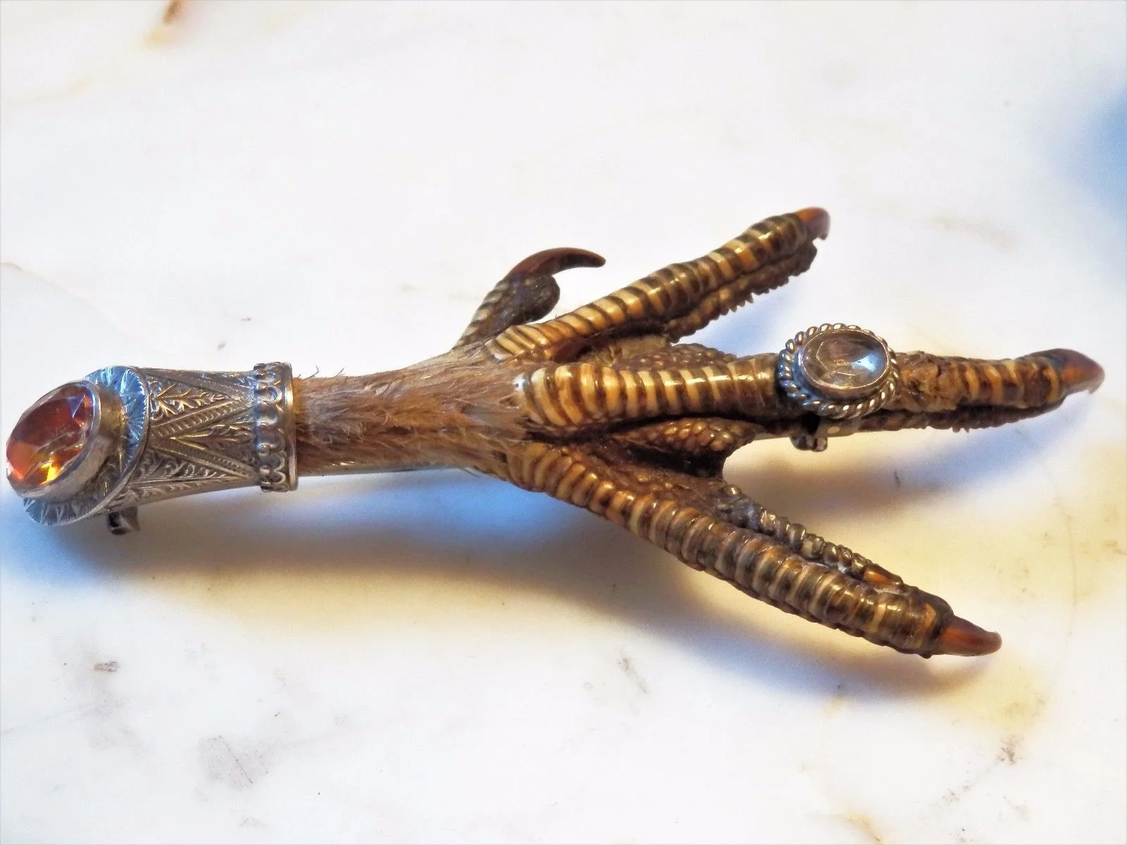 In Victorian times, actual bird's claws were sometimes turned into brooches. (One of these will never be sold by Elder and Bloom!)