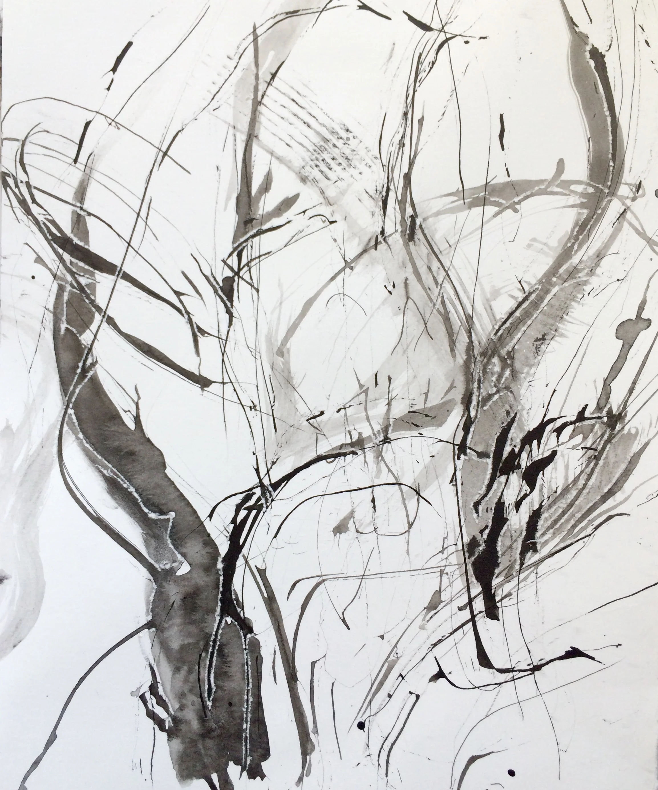 Ink I, 2016, ink on paper, 12" x 8"